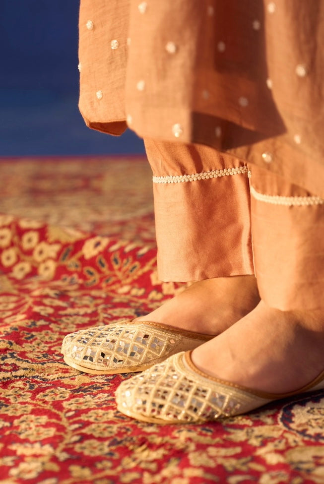 Brown Mul Chanderi Pakistani Panel Chikankari Kurta Set