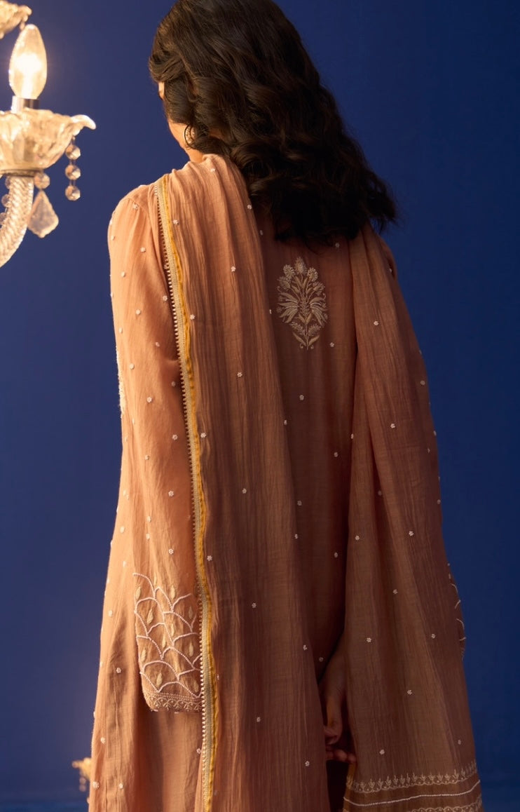 Brown Mul Chanderi Pakistani Panel Chikankari Kurta Set