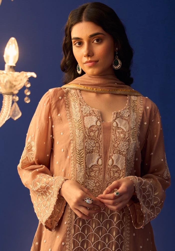 Brown Mul Chanderi Pakistani Panel Chikankari Kurta Set