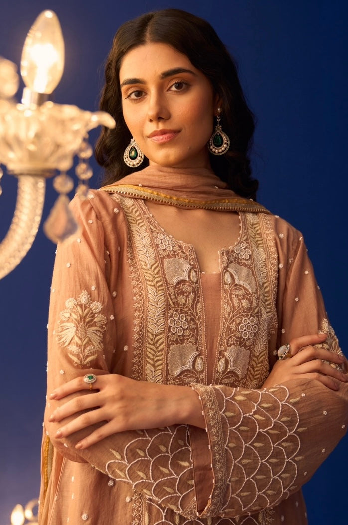 Brown Mul Chanderi Pakistani Panel Chikankari Kurta Set