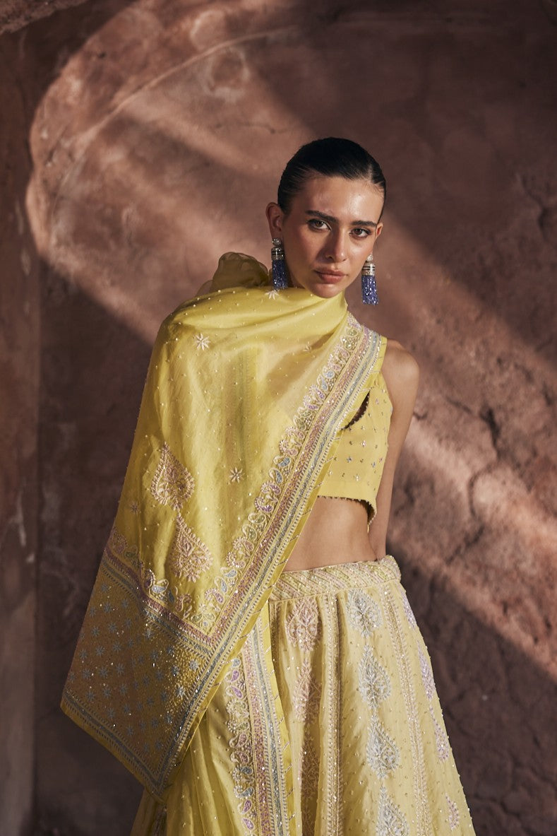 Tara Lehenga Set - Yellow Organza Multi-Sequins & Cutdana Chikankari Lehenga Set