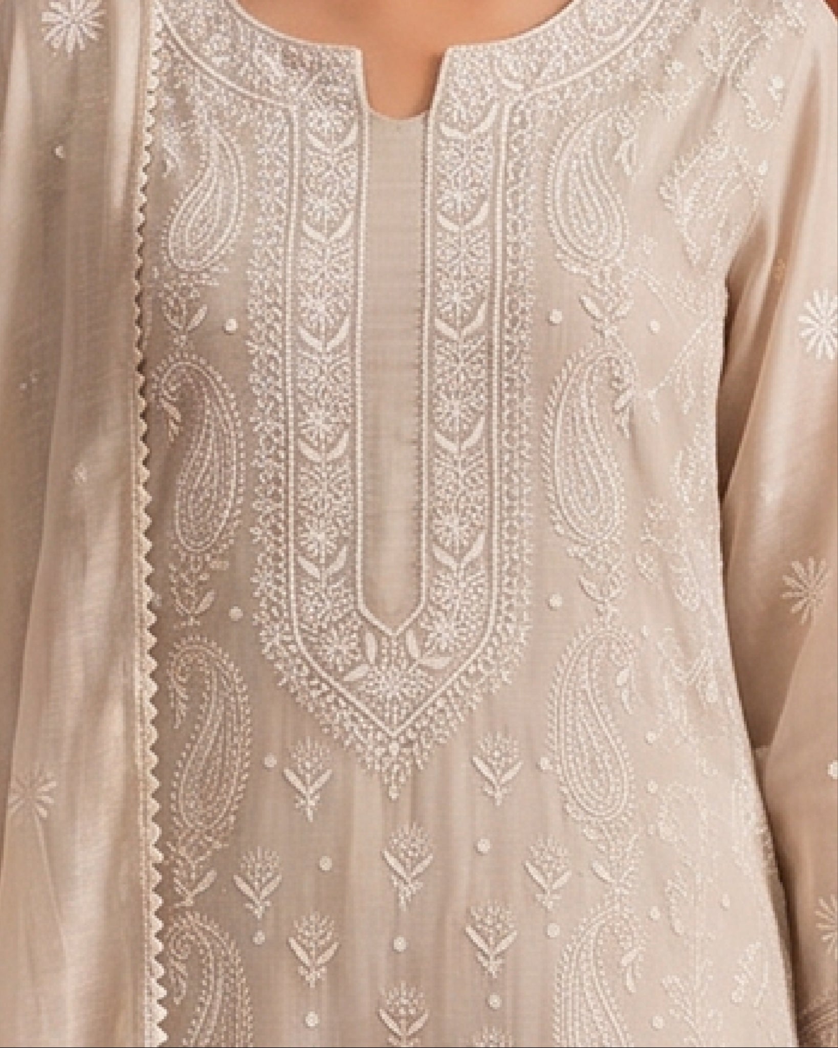 Beige Silver Tissue Full Jaal Kurta Set