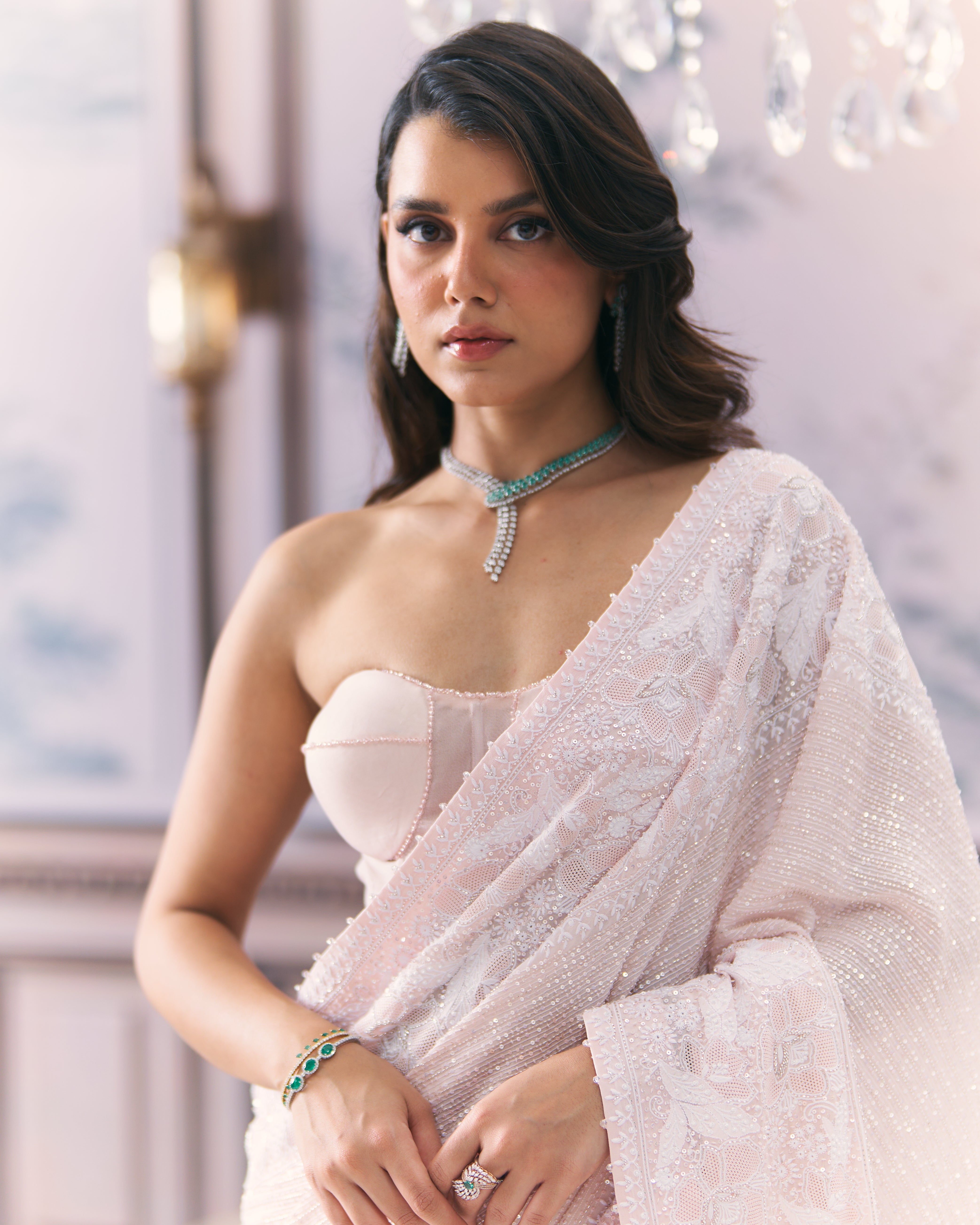 Statement Chikankari Border Saree