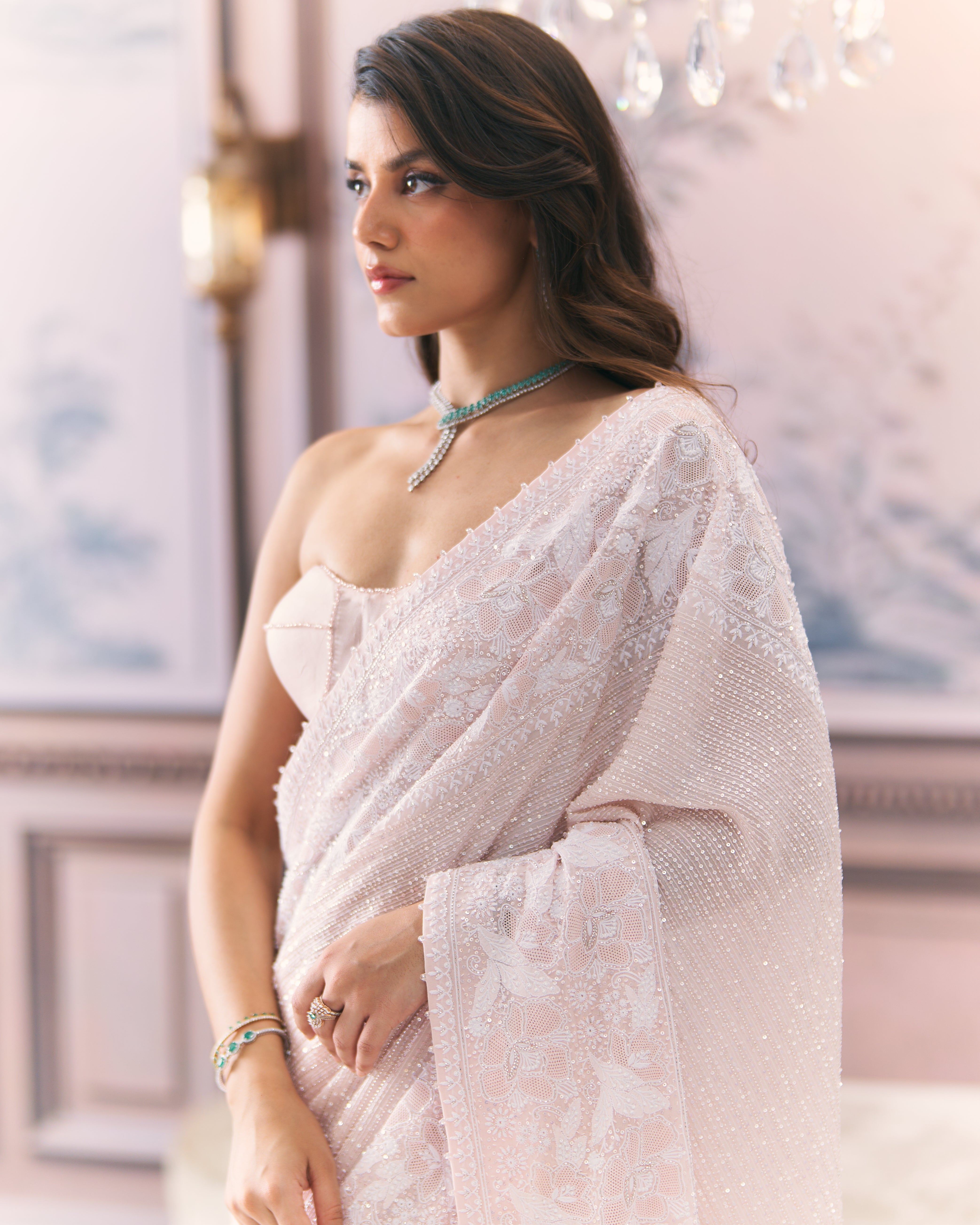 Statement Chikankari Border Saree