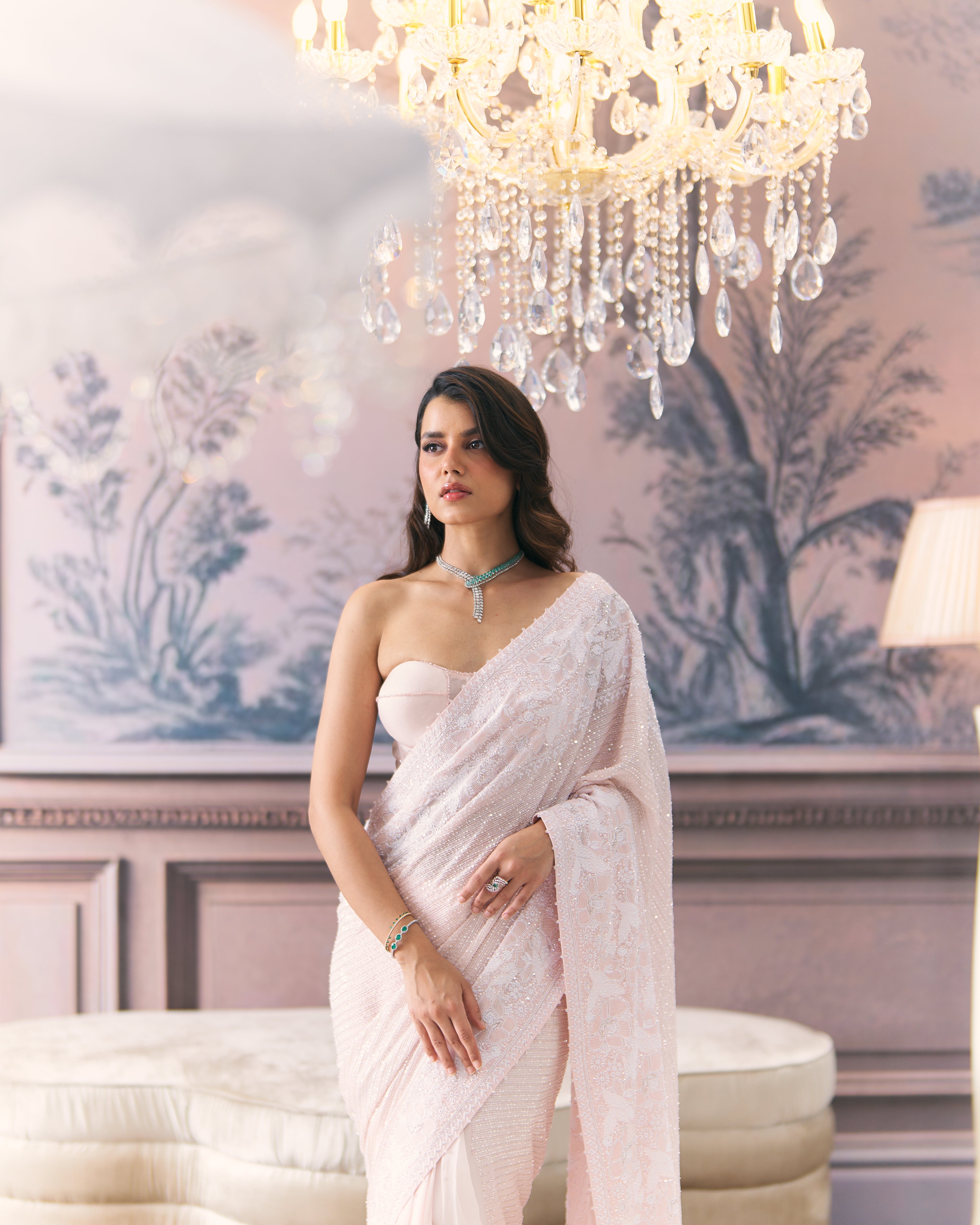 Statement Chikankari Border Saree