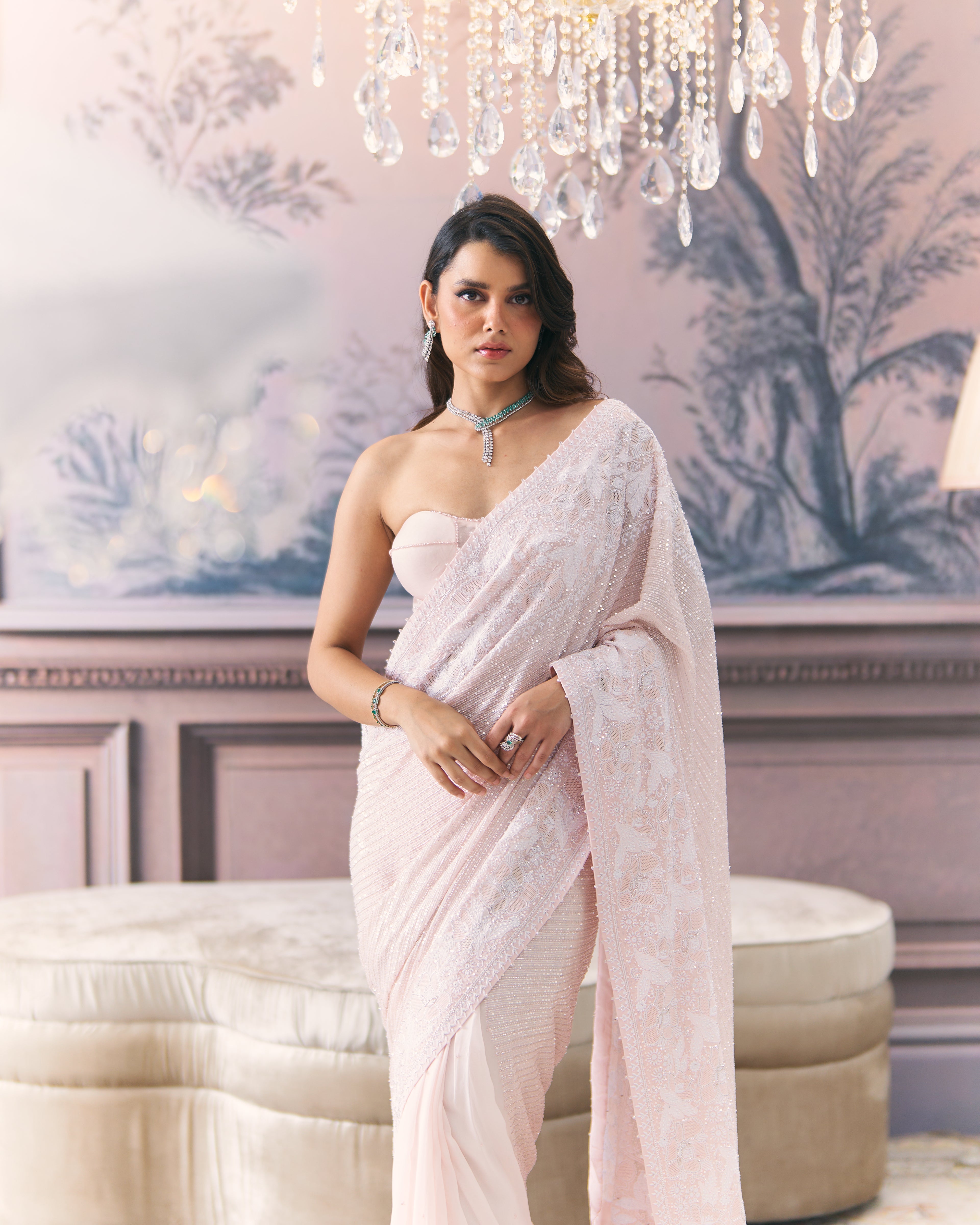 Statement Chikankari Border Saree