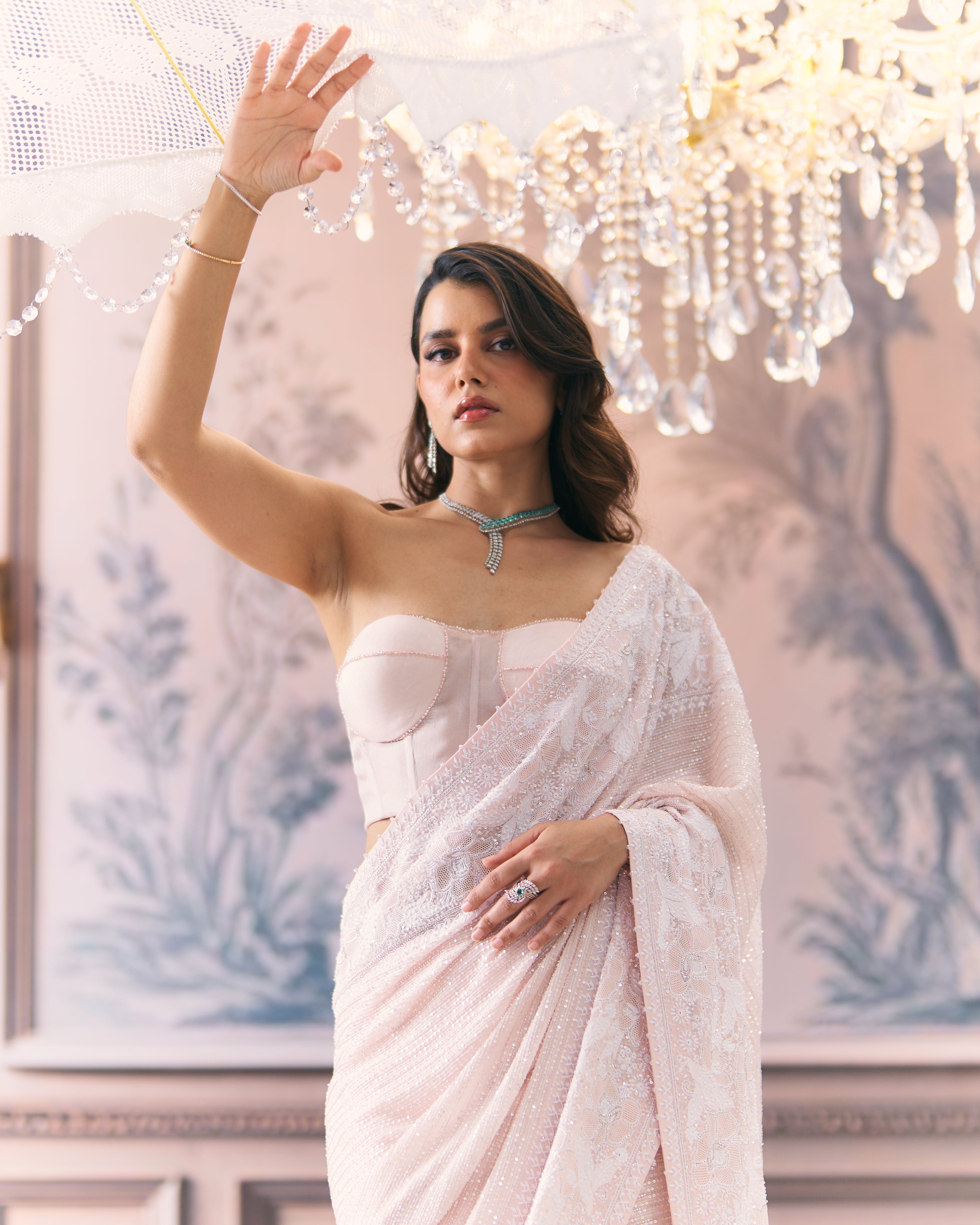 Statement Chikankari Border Saree