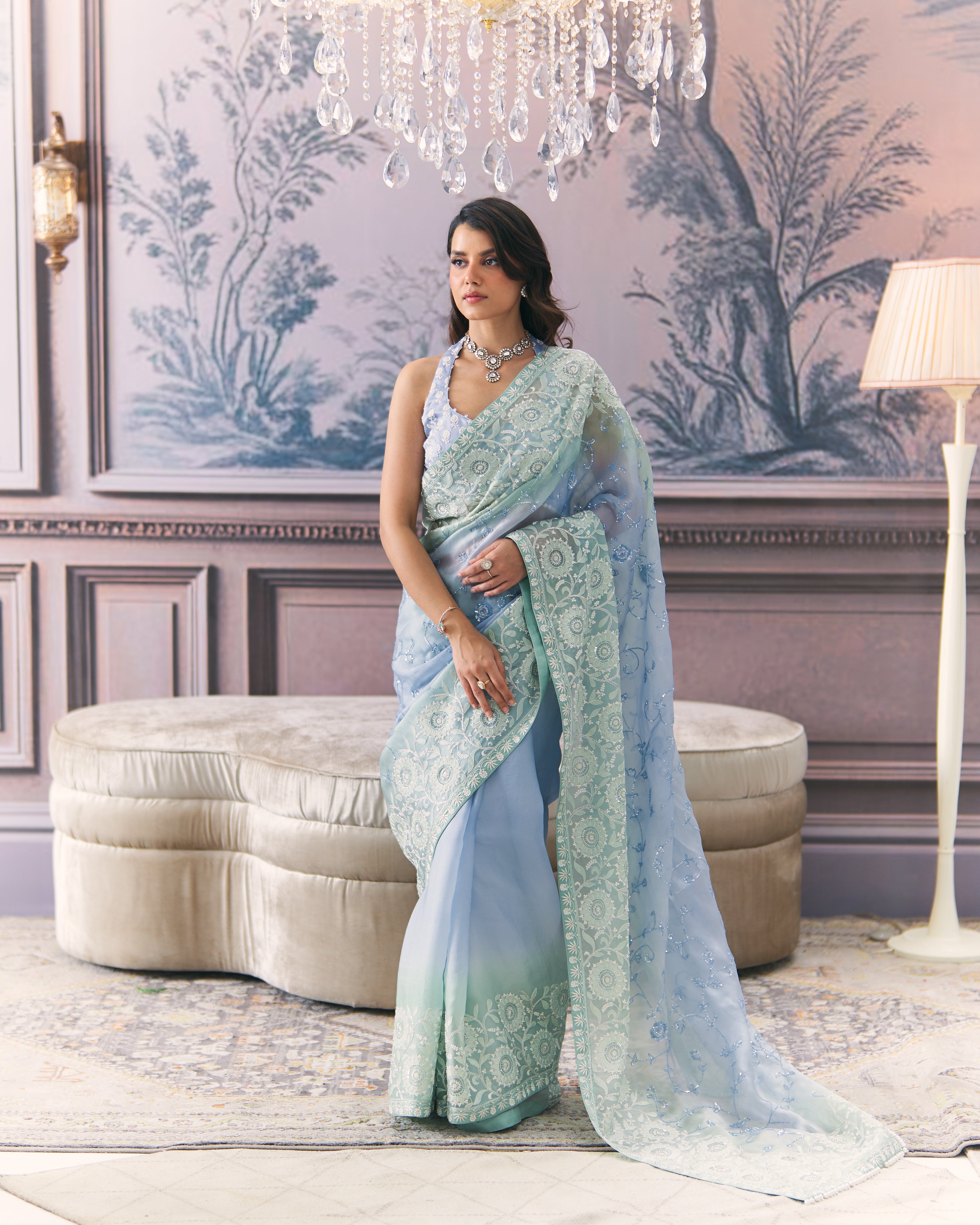 Aqua Organza Chikankari Saree