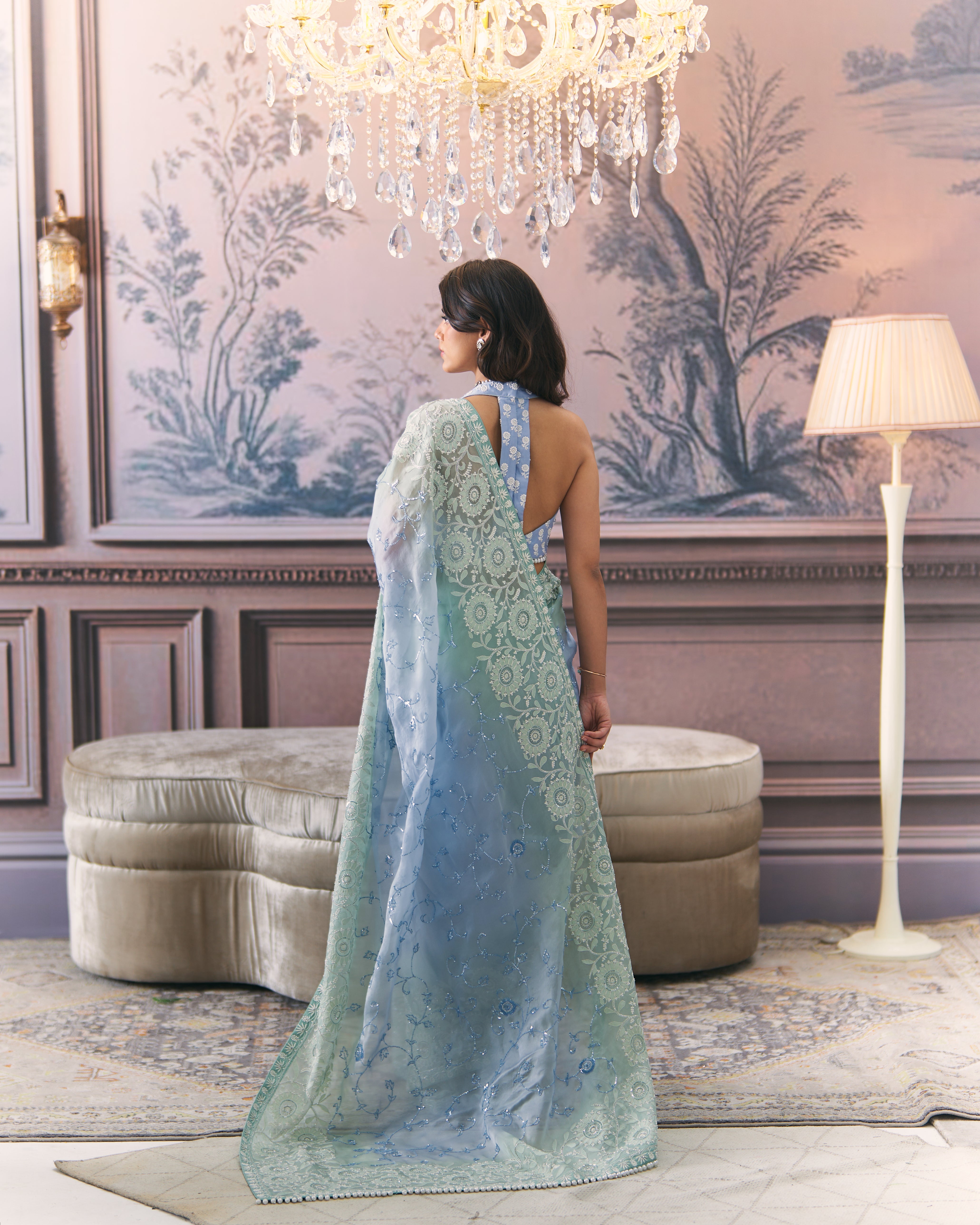 Aqua Organza Chikankari Saree