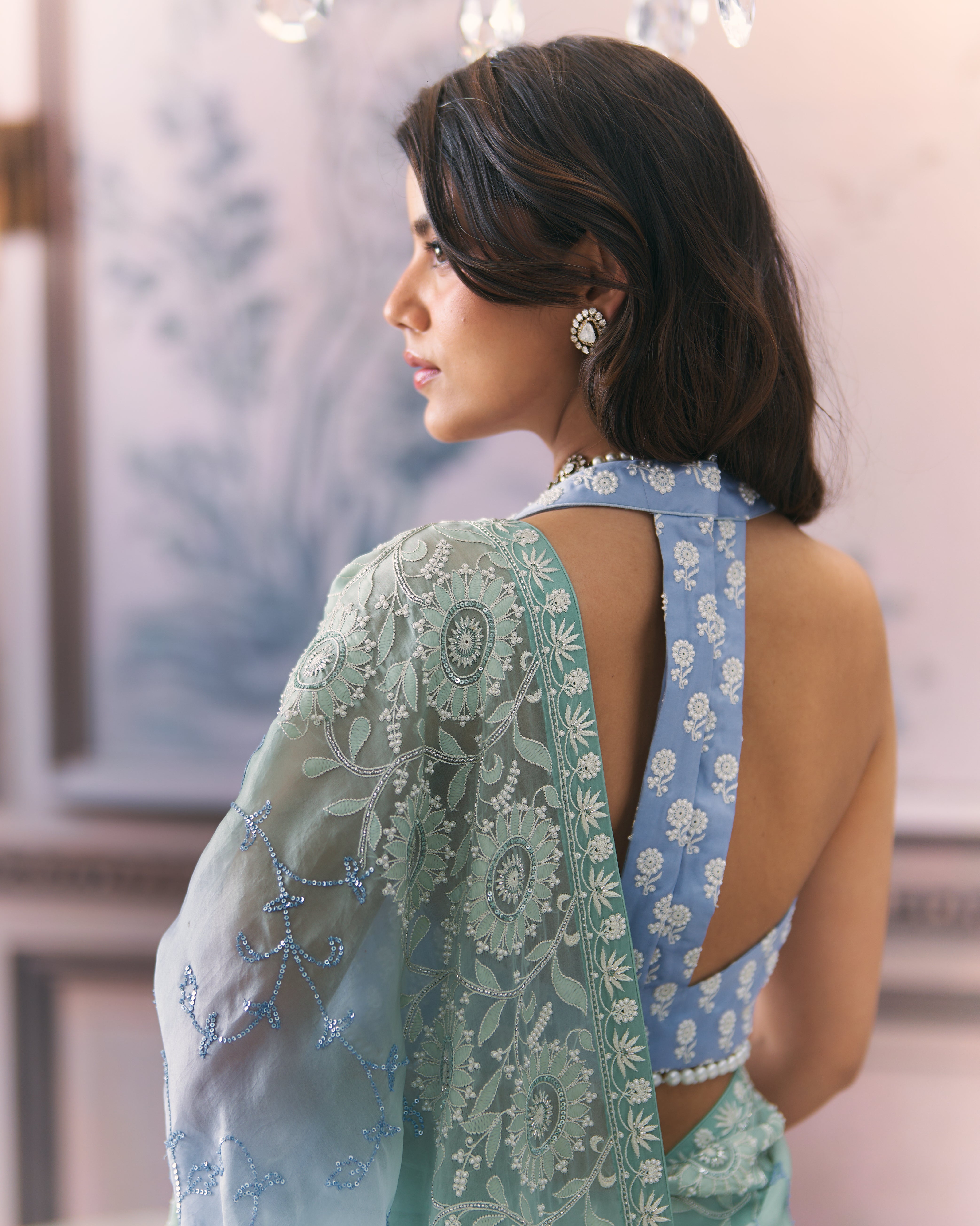 Aqua Organza Chikankari Saree