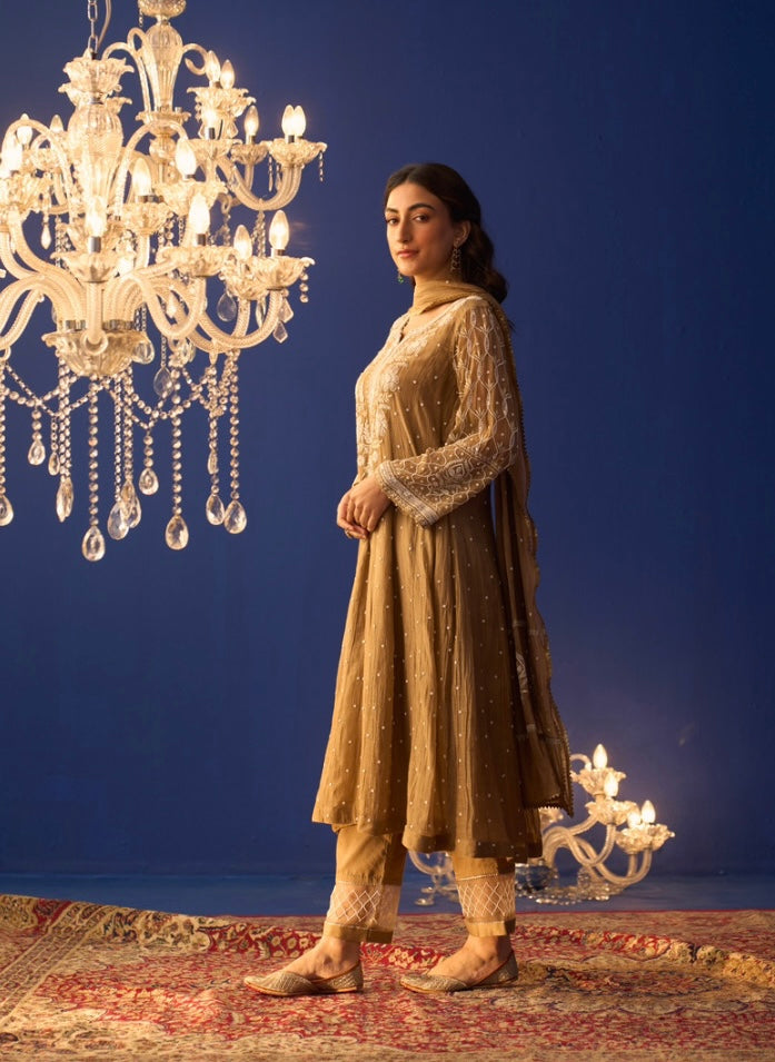 Brown Mul Chanderi Chikankari Kalidar Kurta Set