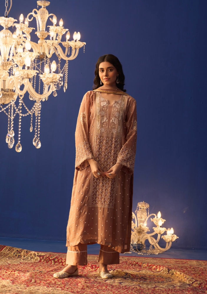 Brown Mul Chanderi Pakistani Panel Chikankari Kurta Set