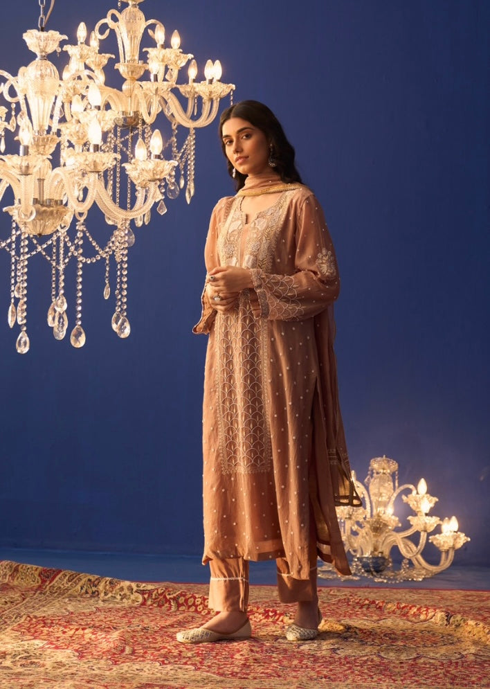 Brown Mul Chanderi Pakistani Panel Chikankari Kurta Set