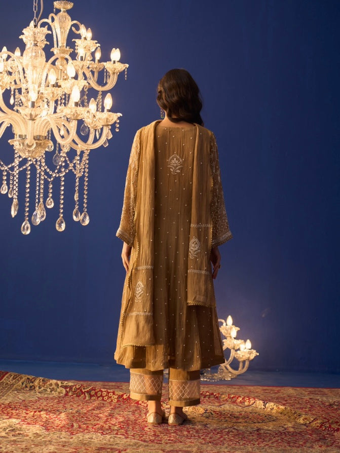 Brown Mul Chanderi Chikankari Kalidar Kurta Set