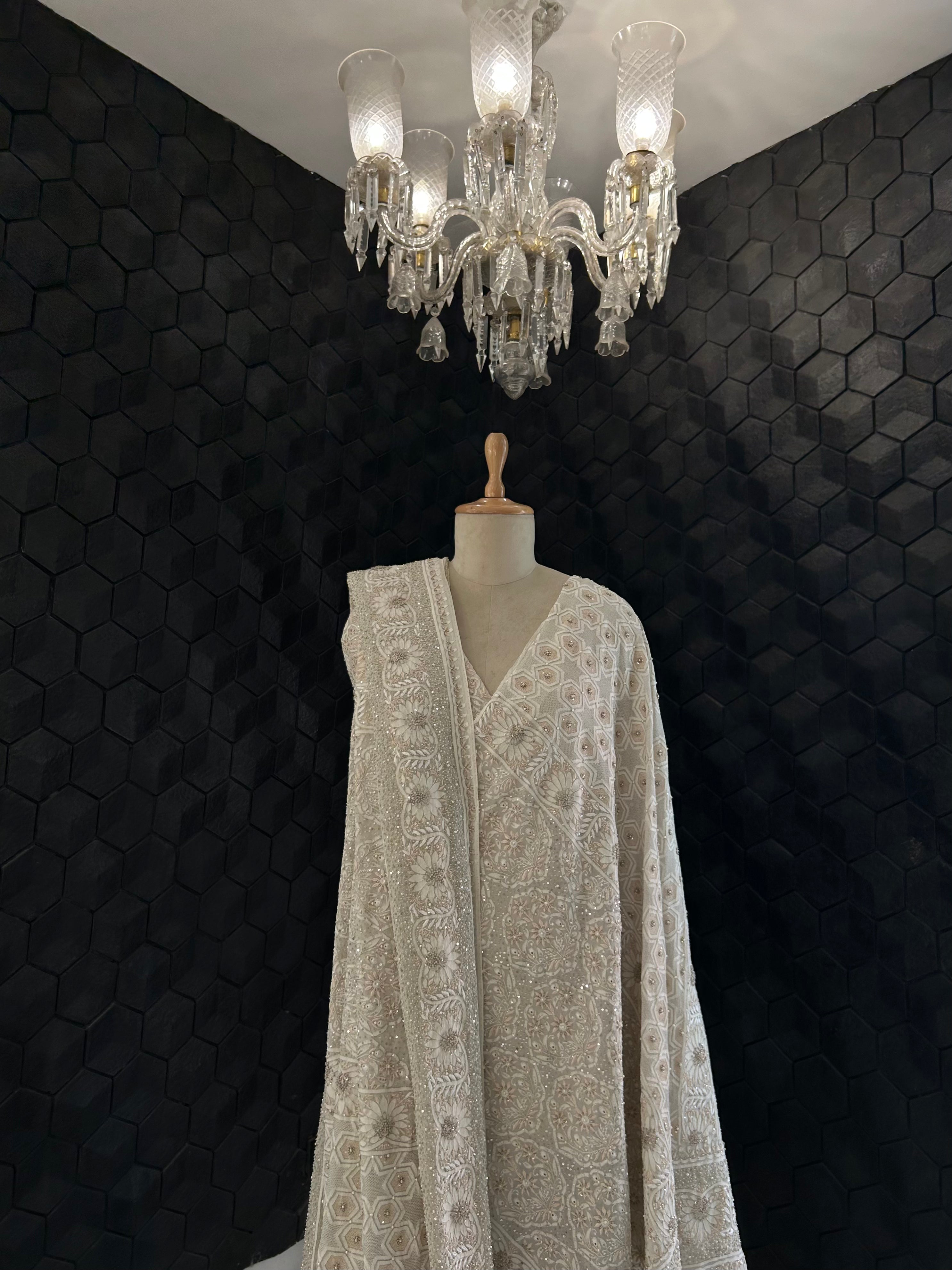 Premium Off White Georgette Ek -Taar Resham Thread Chikankari Saree