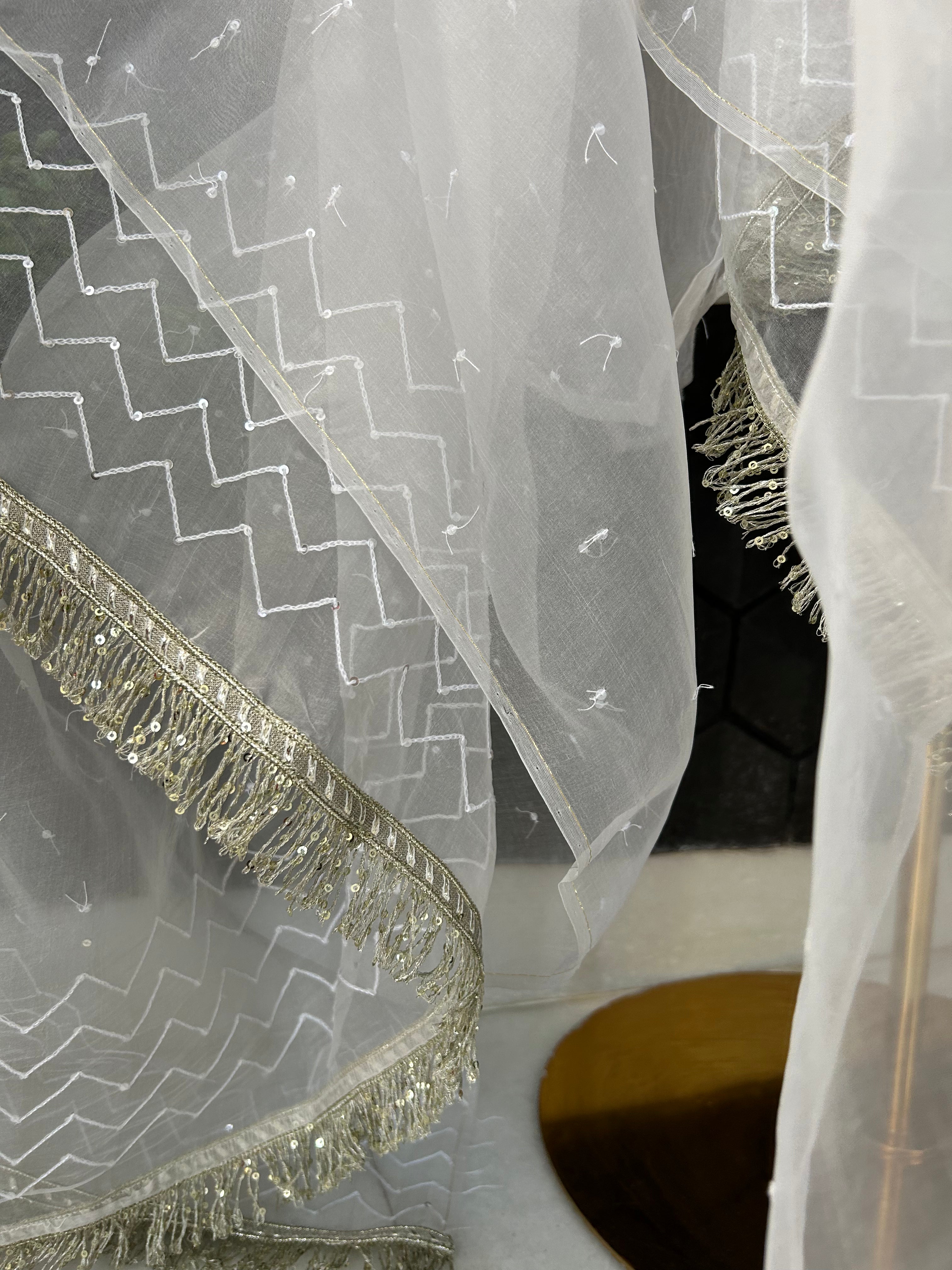 White Organza Chikankari suit Set