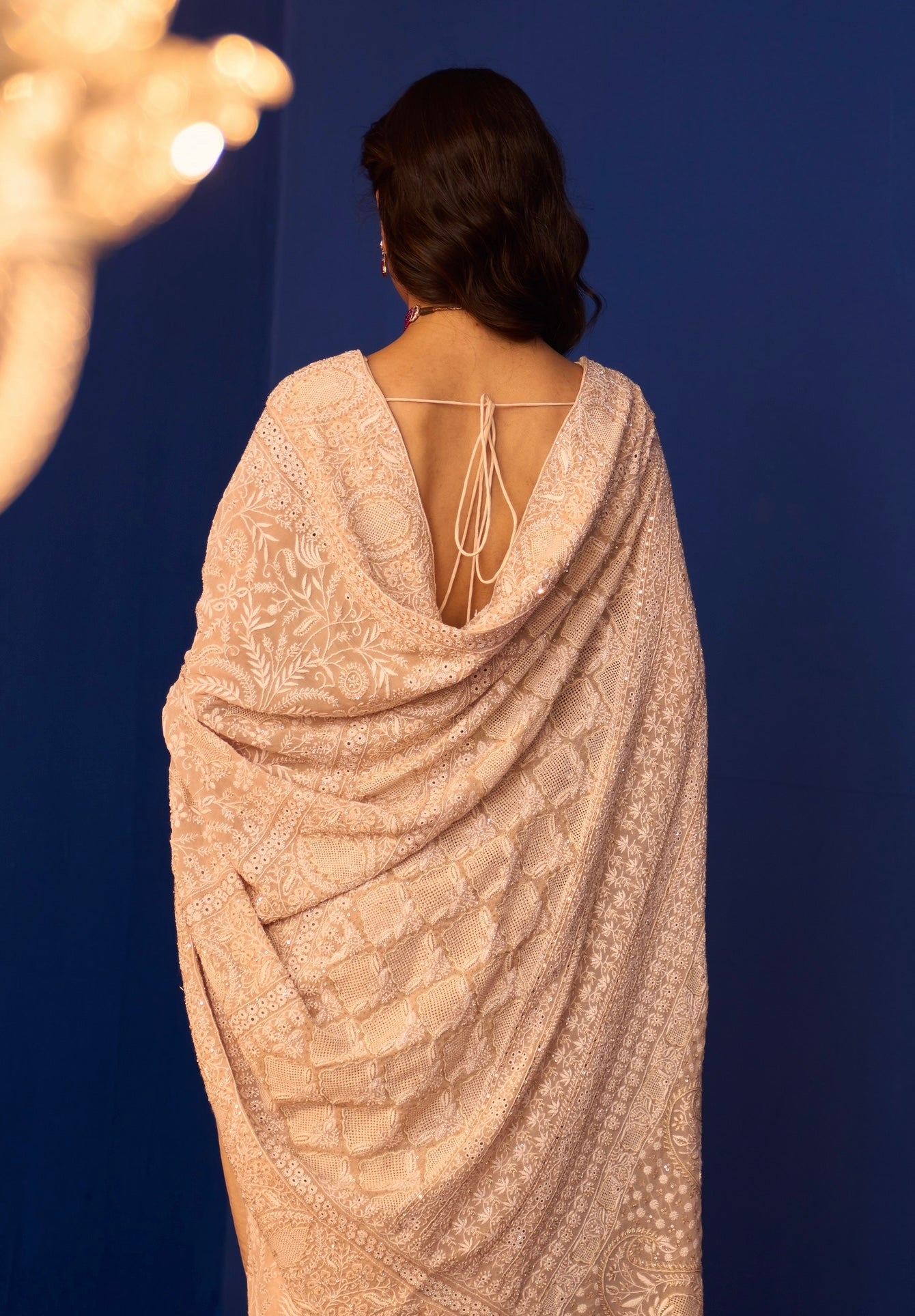 Beige Chiffon Intricate Chikankari Saree