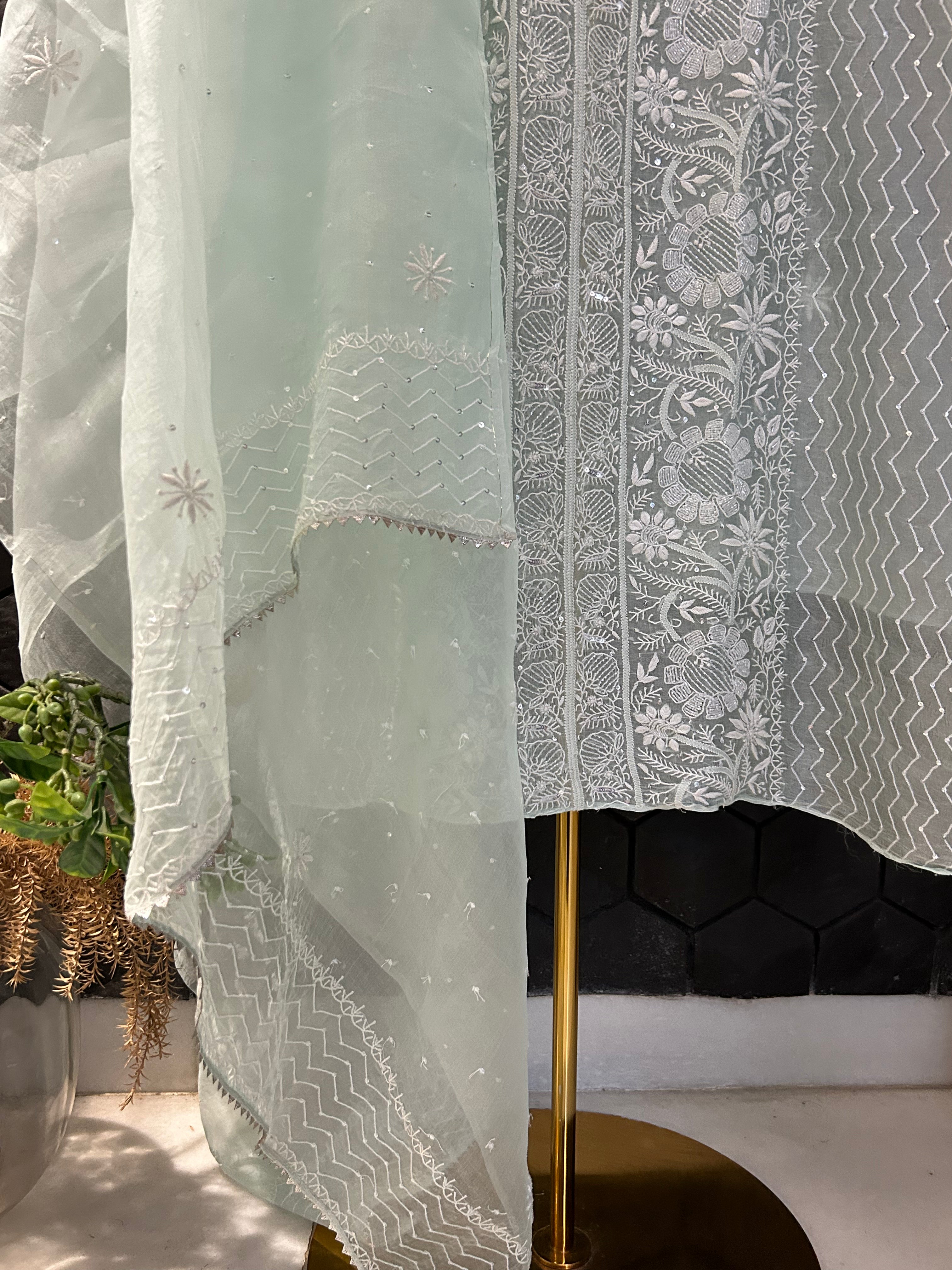 Sea Green Organza Chikankari Kurta Set