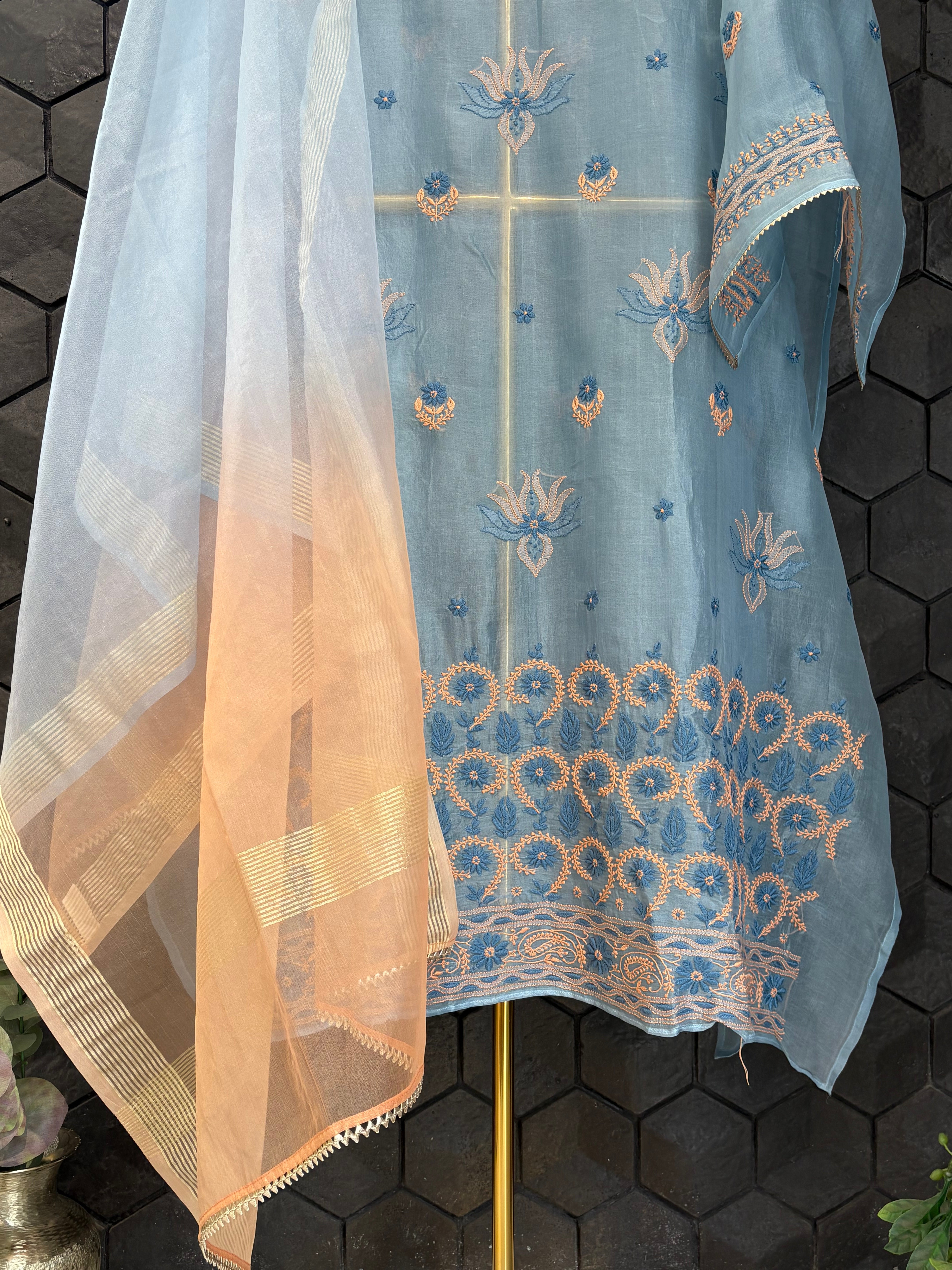 Sky Blue Chikankari Organza Kurta set