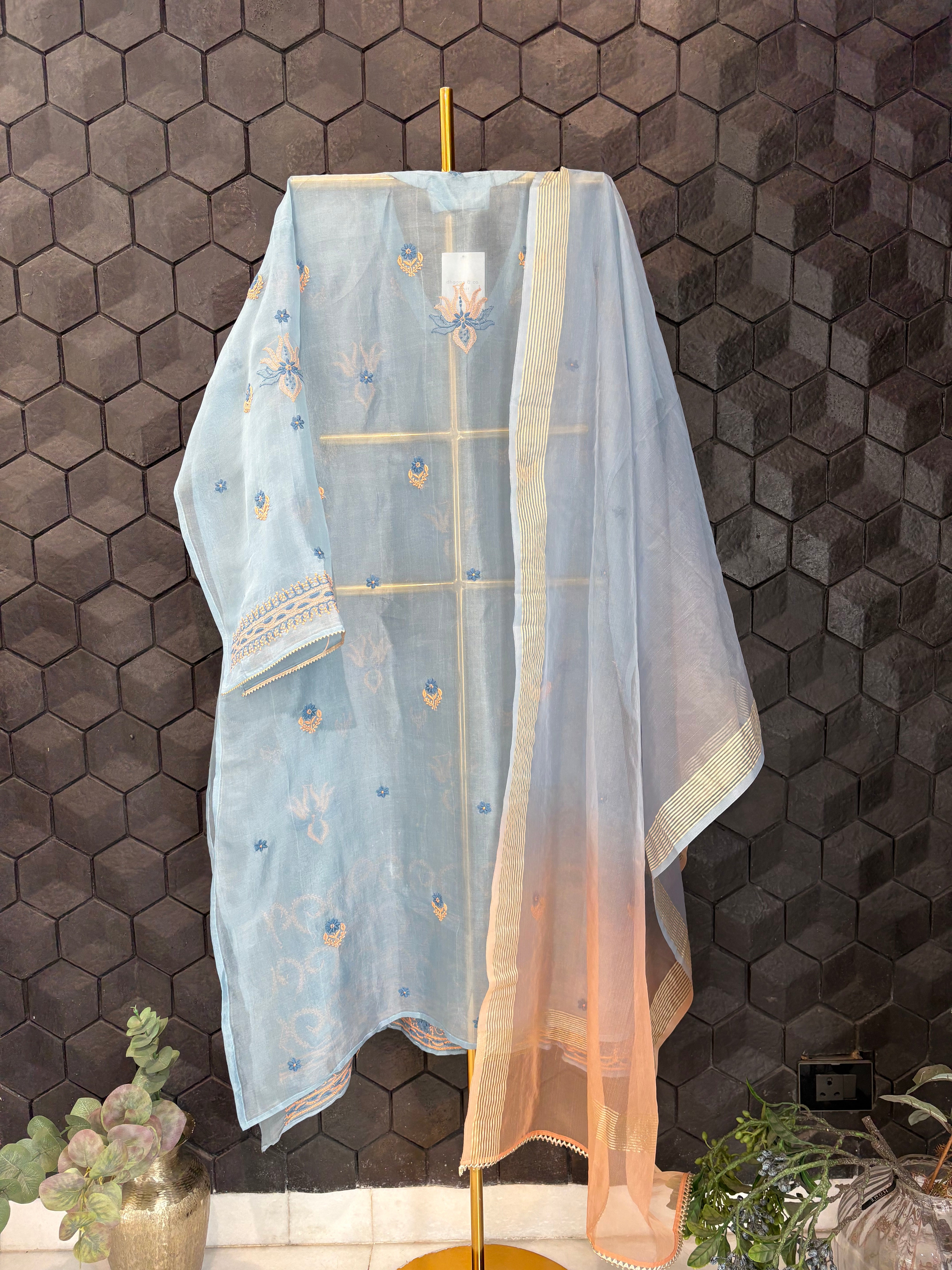 Sky Blue Chikankari Organza Kurta set