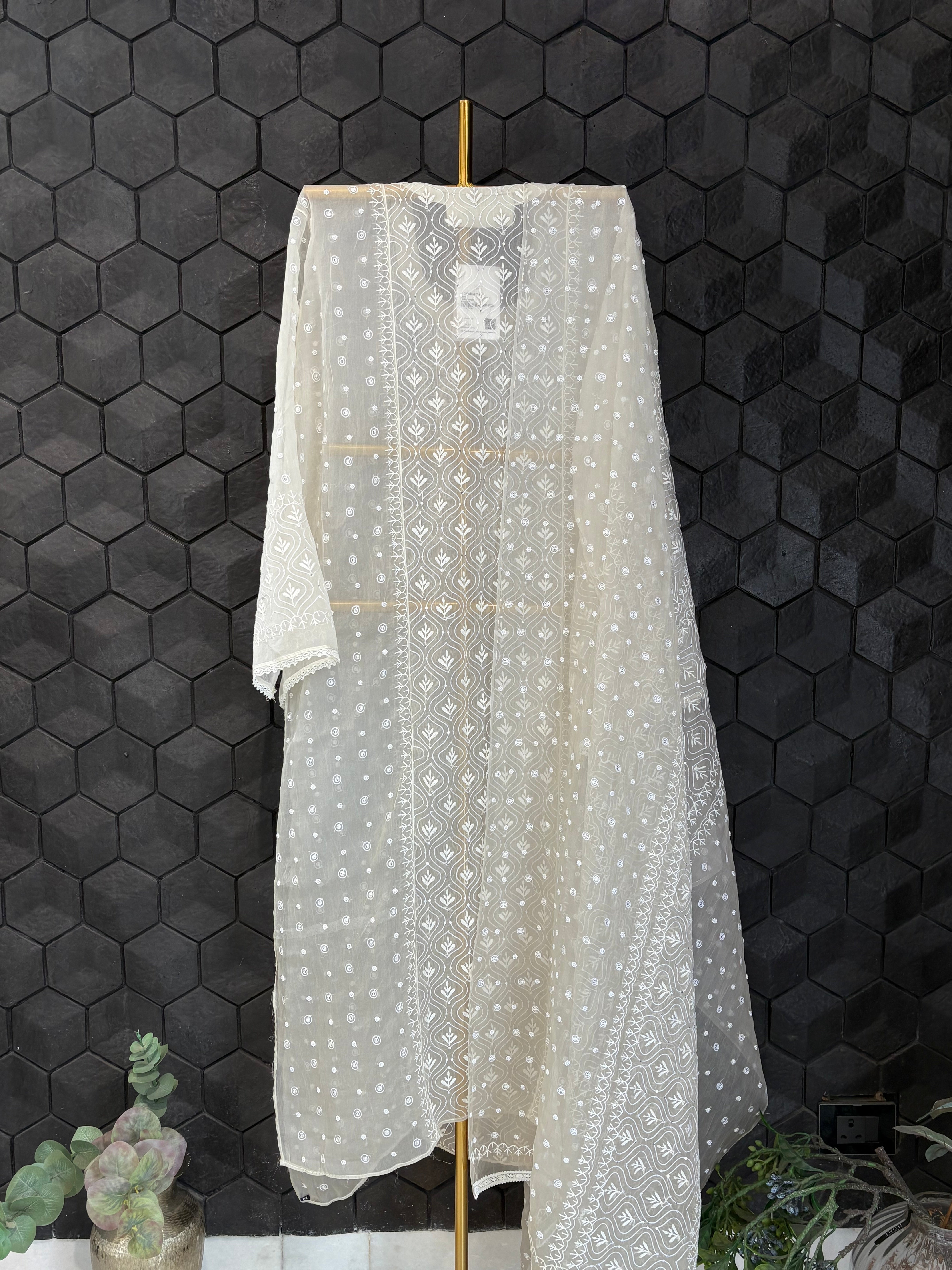 Off White Chikankari Organza Set