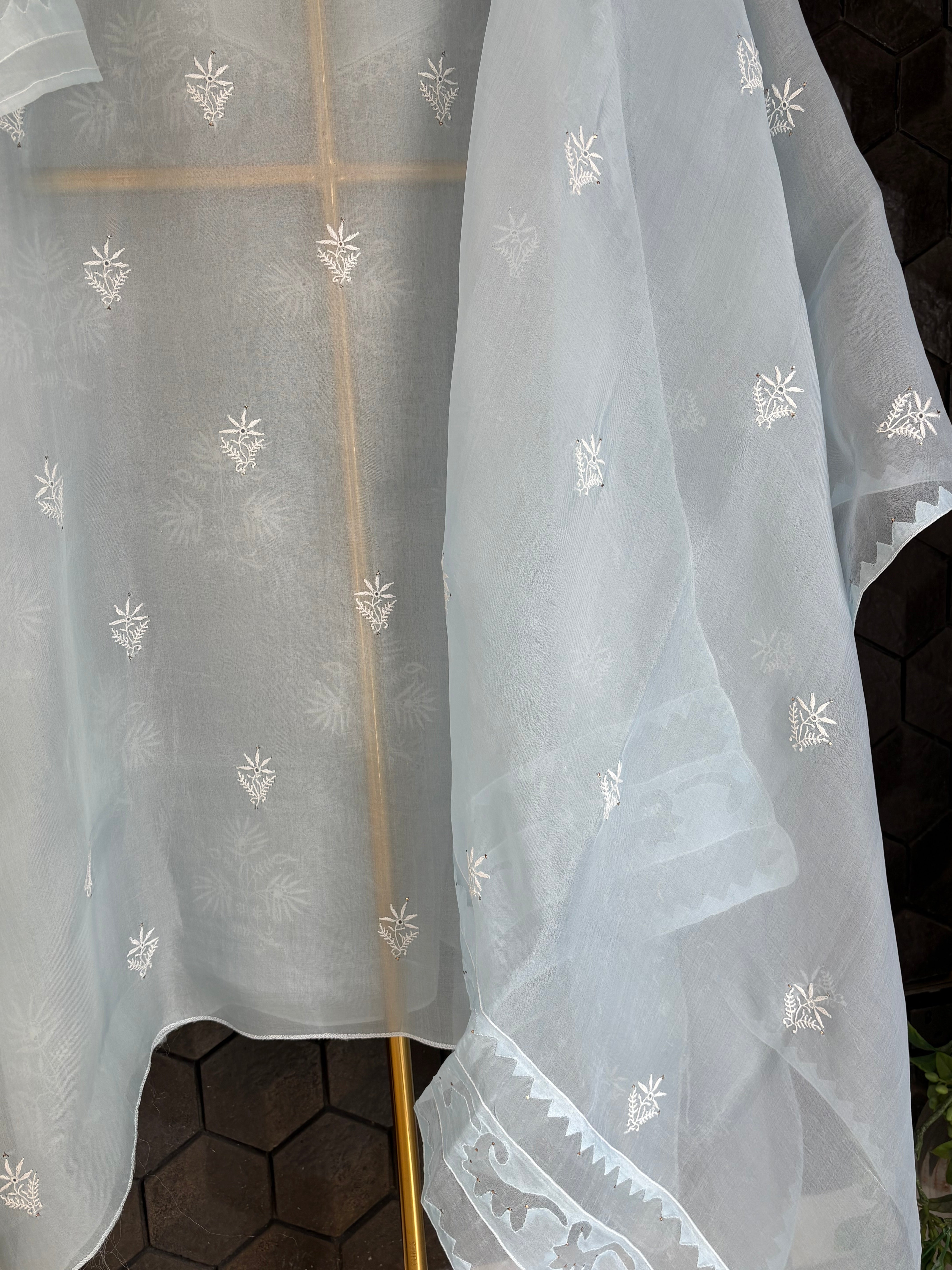 Sky Blue Organza Chikankari Kurta Set