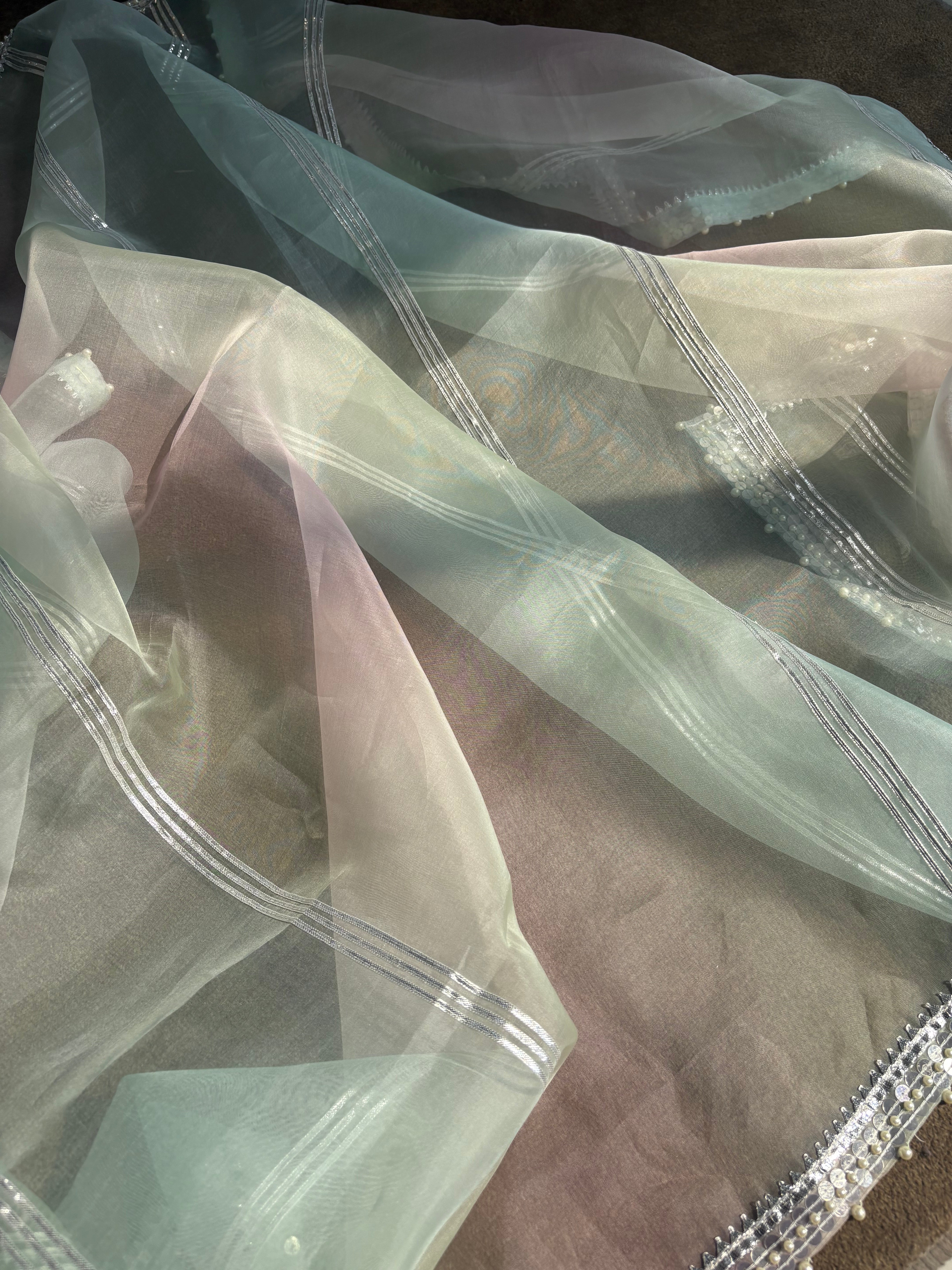 Mint Green Chikankari Organza Kurta Set