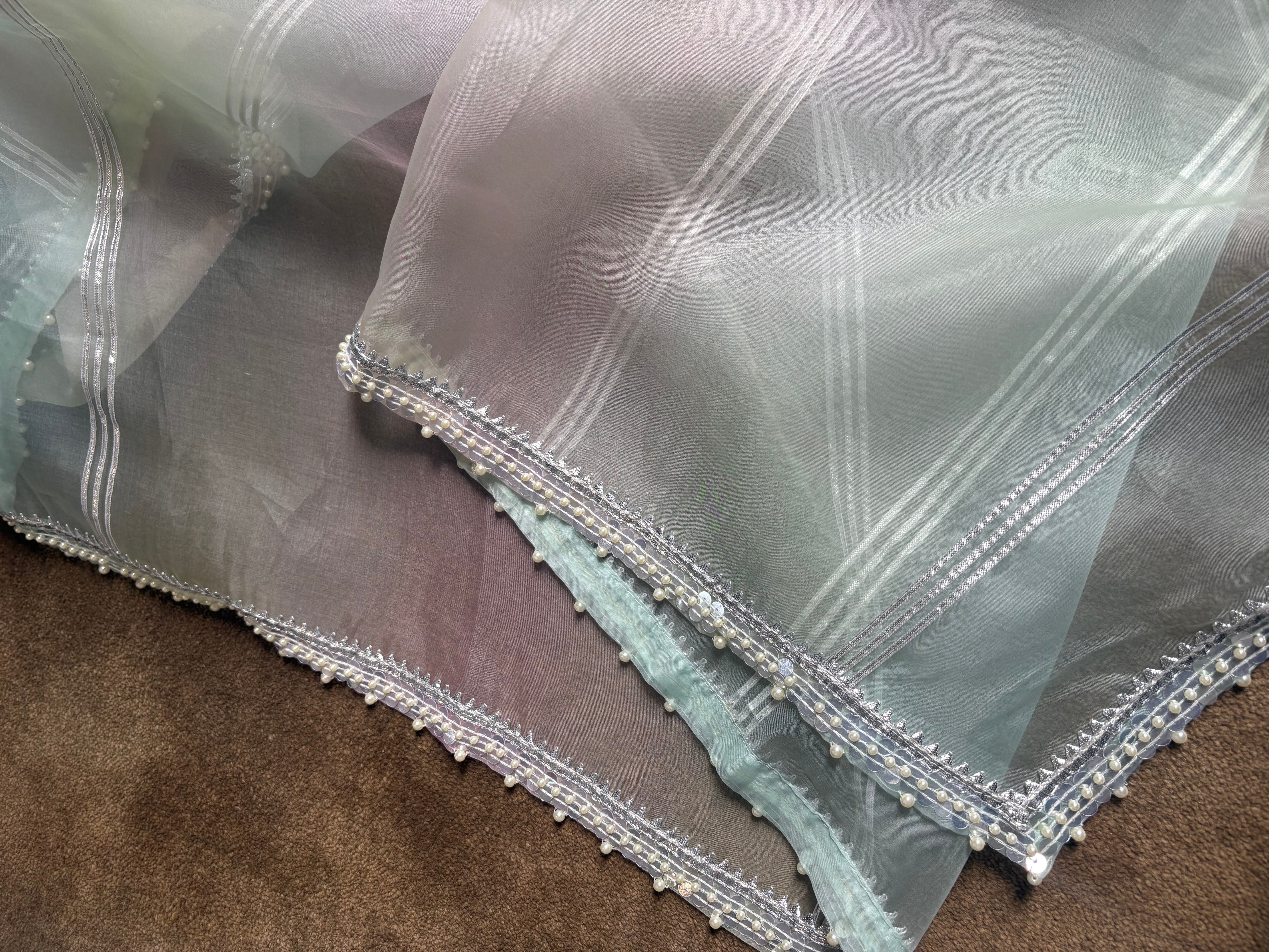 Mint Green Chikankari Organza Kurta Set