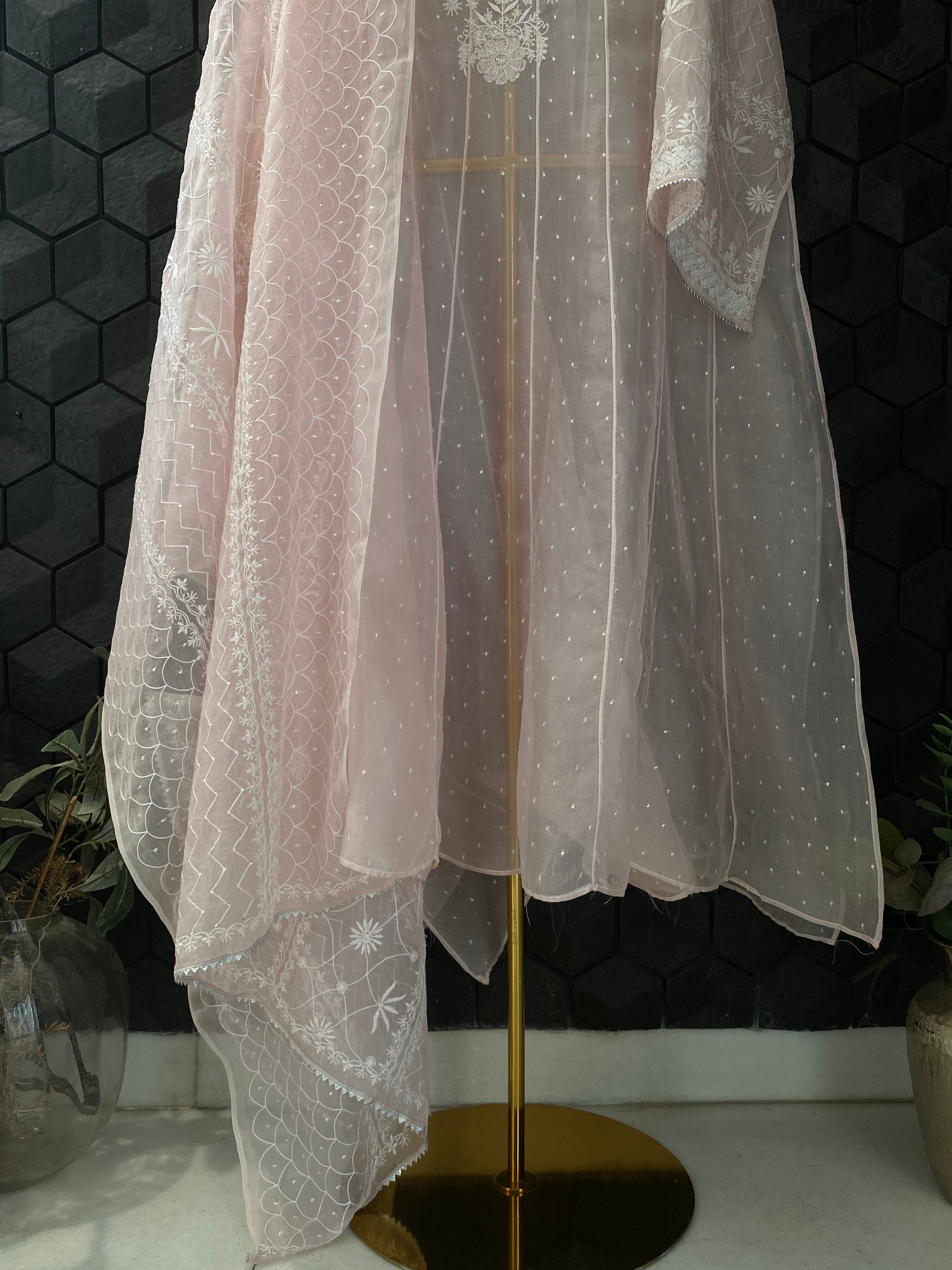 Pink Organza Chikankari Anarkali Set