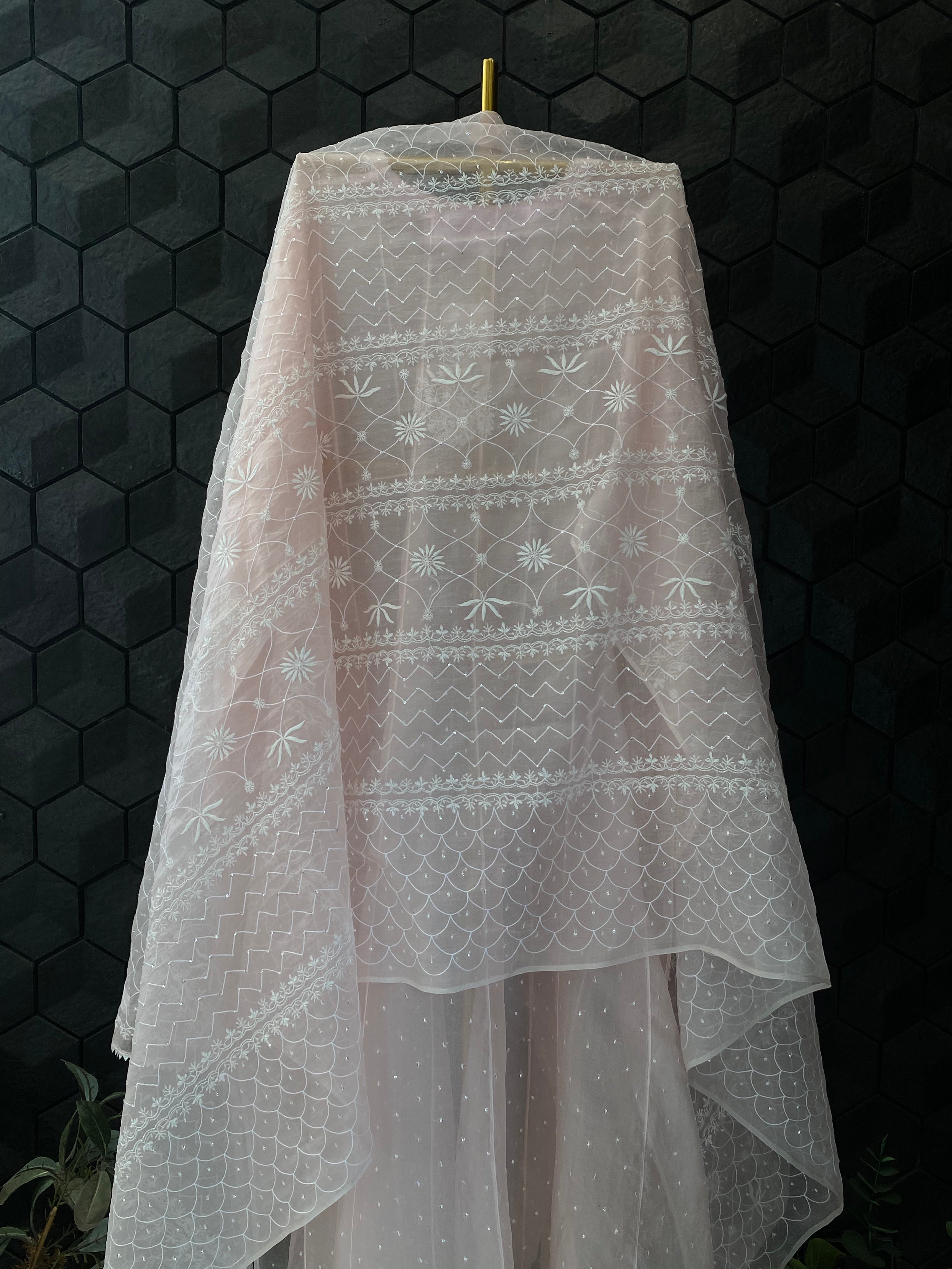 Pink Organza Chikankari Anarkali Set