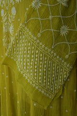 Lime Green Tissue Chikankari Anarkali Set
