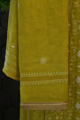 Lime Green Tissue Chikankari Anarkali Set