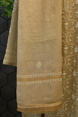 Brown Tissue Chikankari Anarkali Set