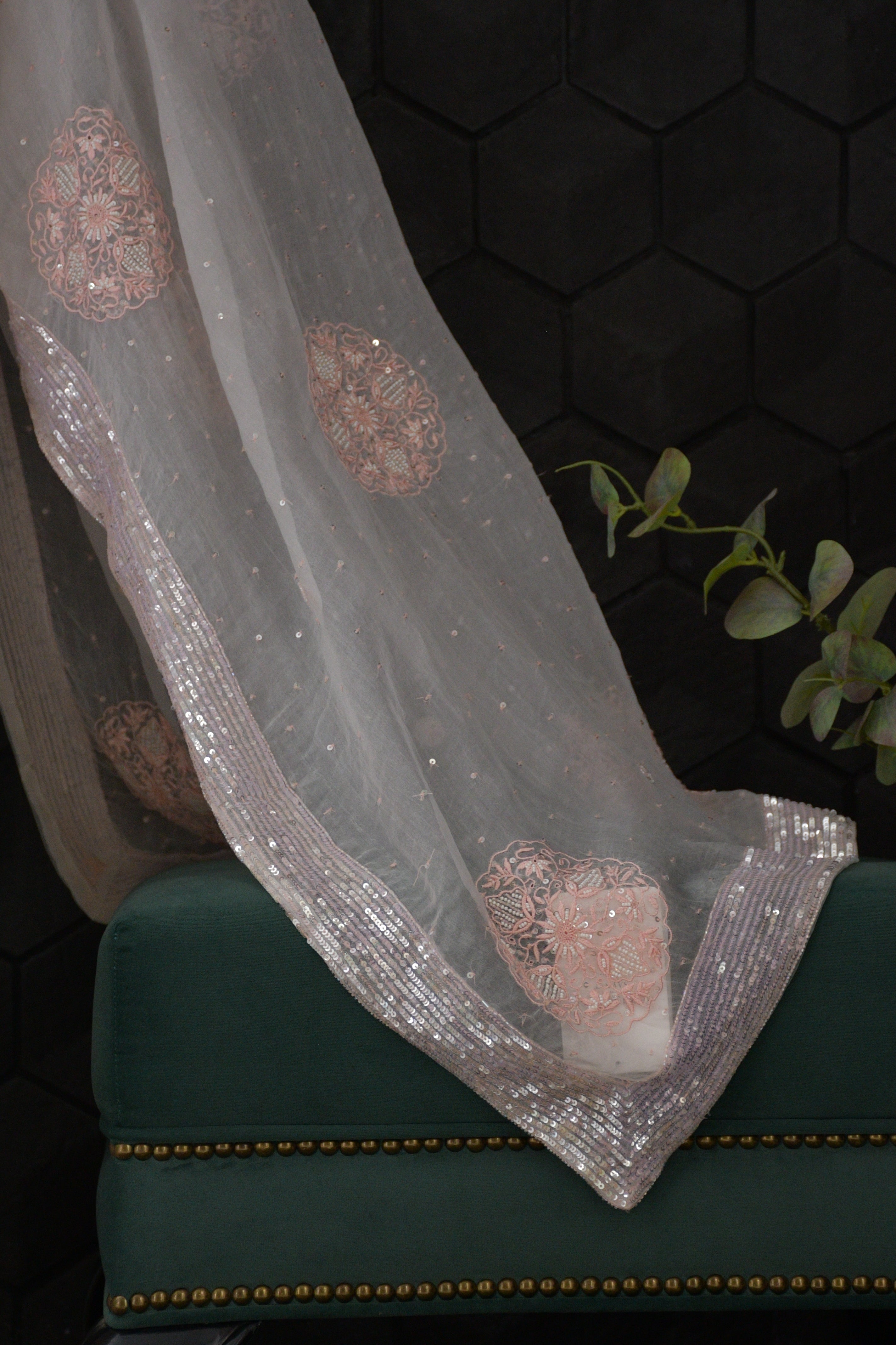 White pure organza chikankari saree