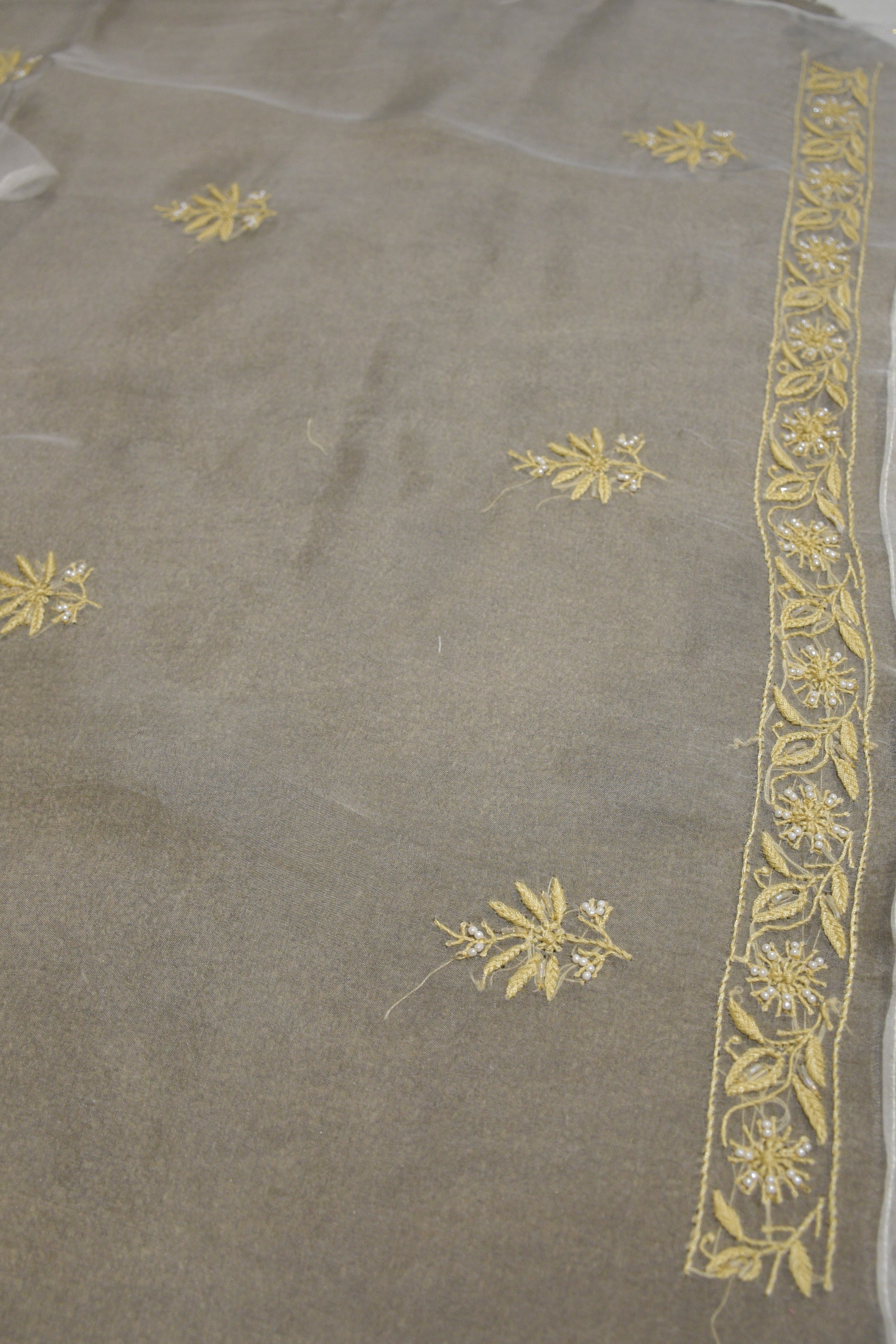 Pure Organza Kurta with Beige Embroidery