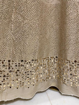 Moonga Silk Chikankari and Mukaish Skirt