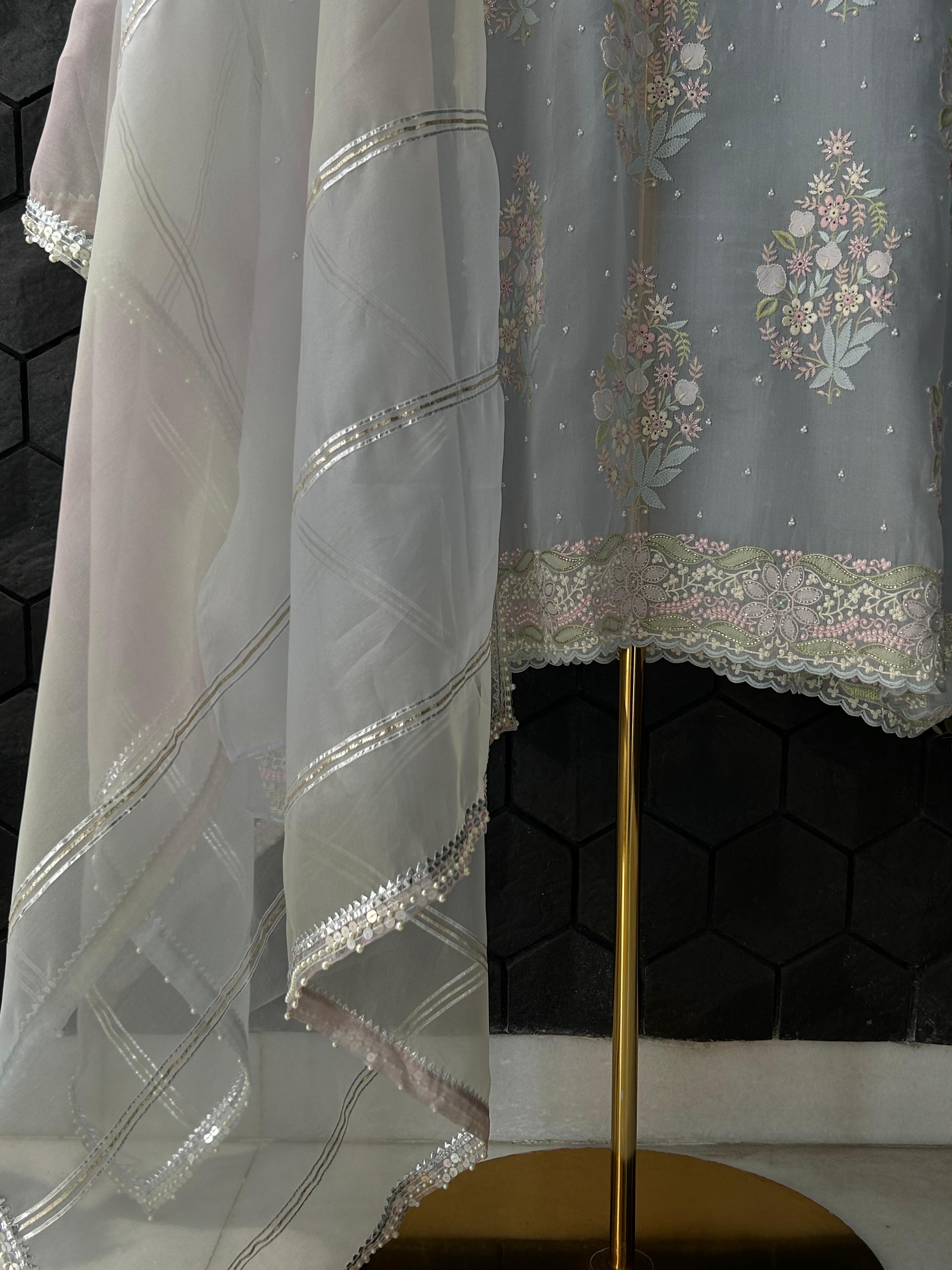Sky Blue Organza Chikankari Kurta Set