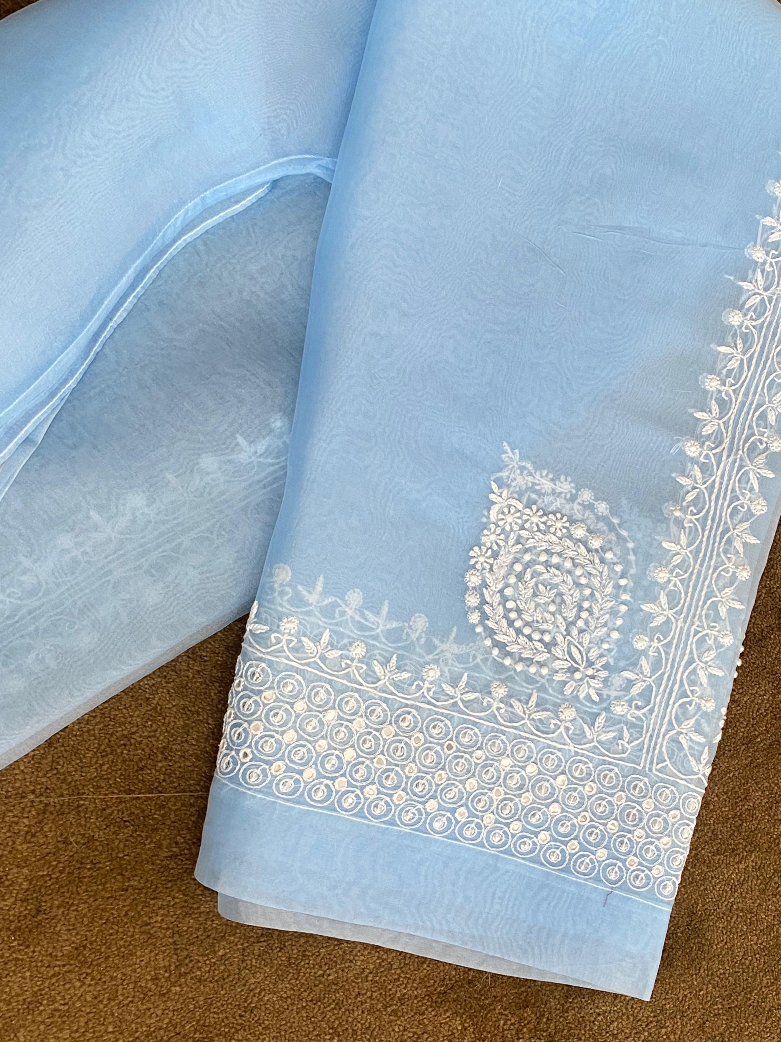 Sky Blue Organza chikankari co-ord set