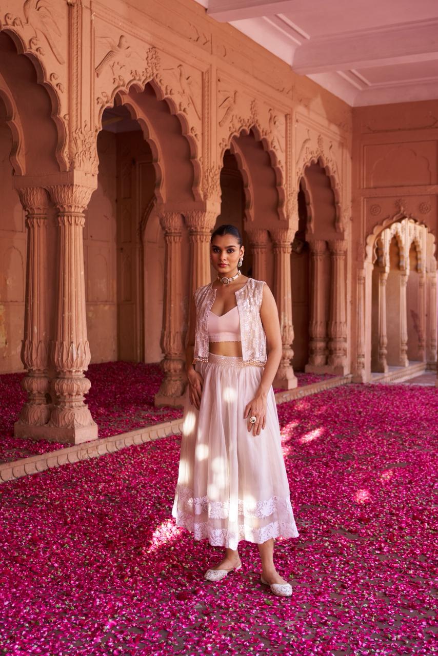 Champagne Organza Chikankari Cropped Skirt Set