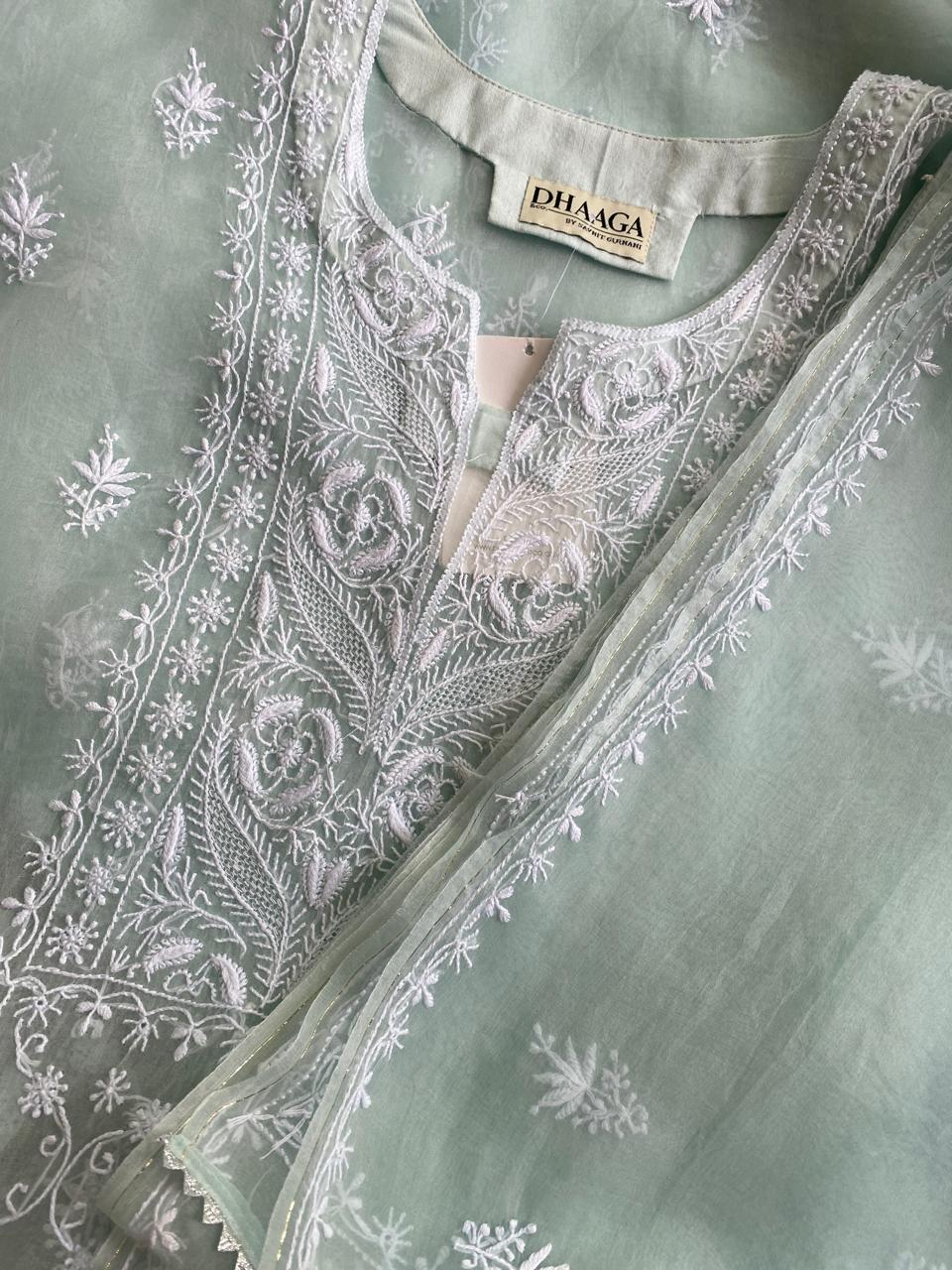 Powder Blue Organza Chikankari Kurta Set