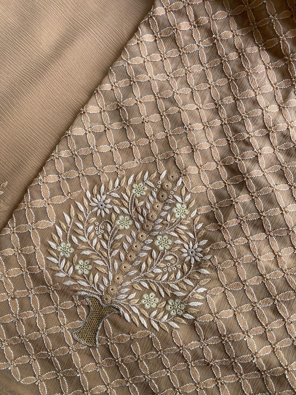 Bronze Chiffon Chikankari Saree