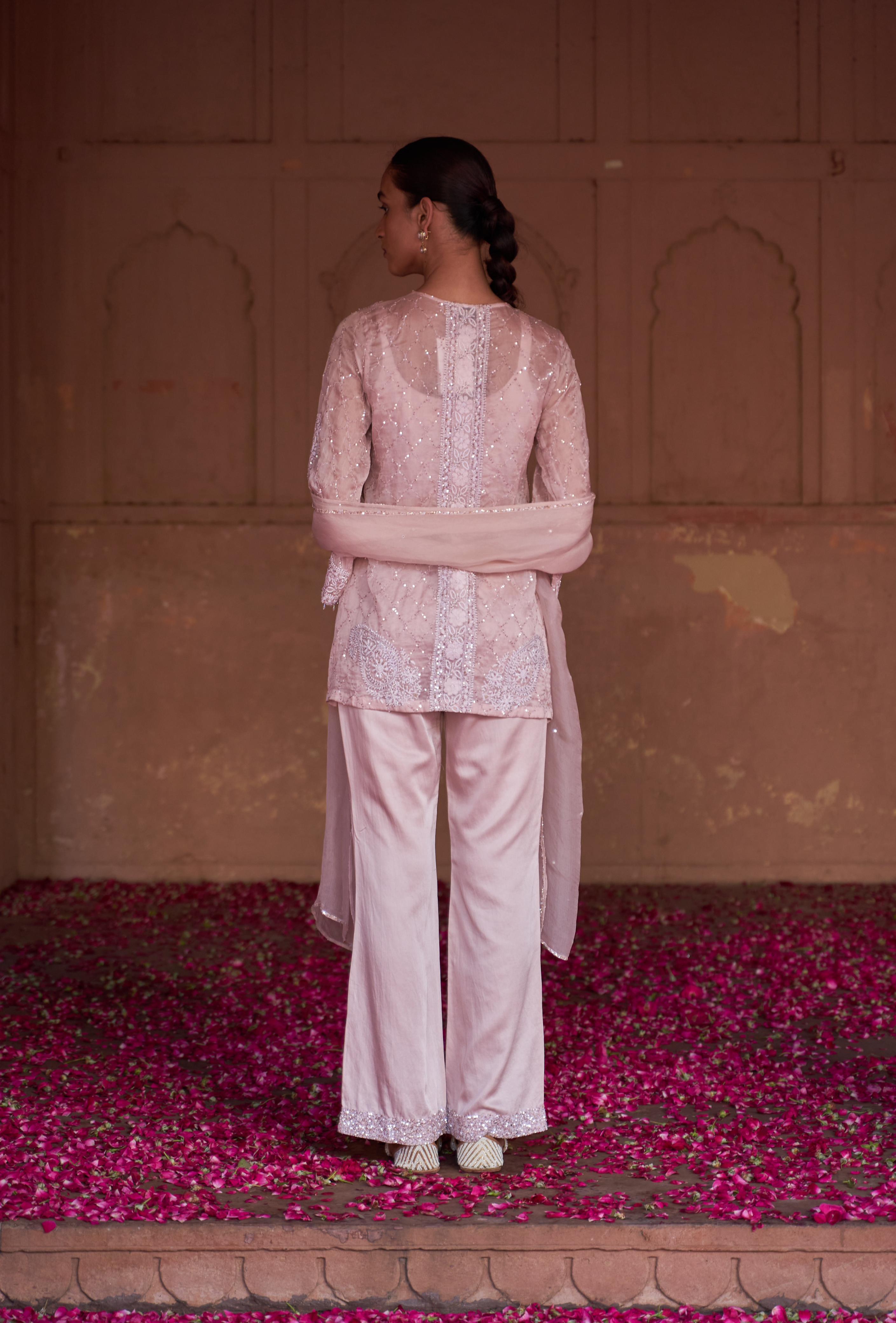 Pink Pakistani Organza Co-ord sets