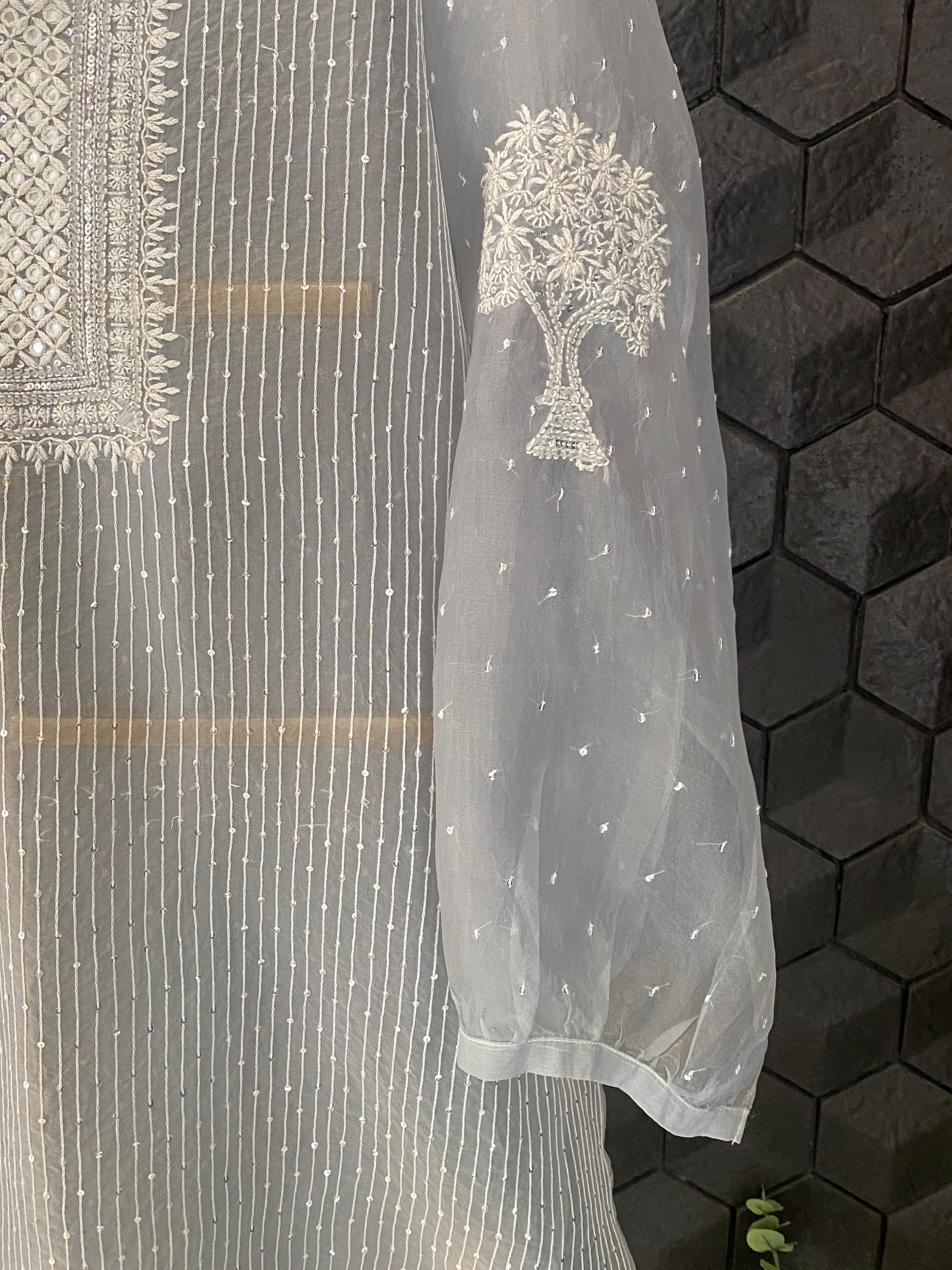 Blue Organza Chikankari Mirror Work Co-ord Set