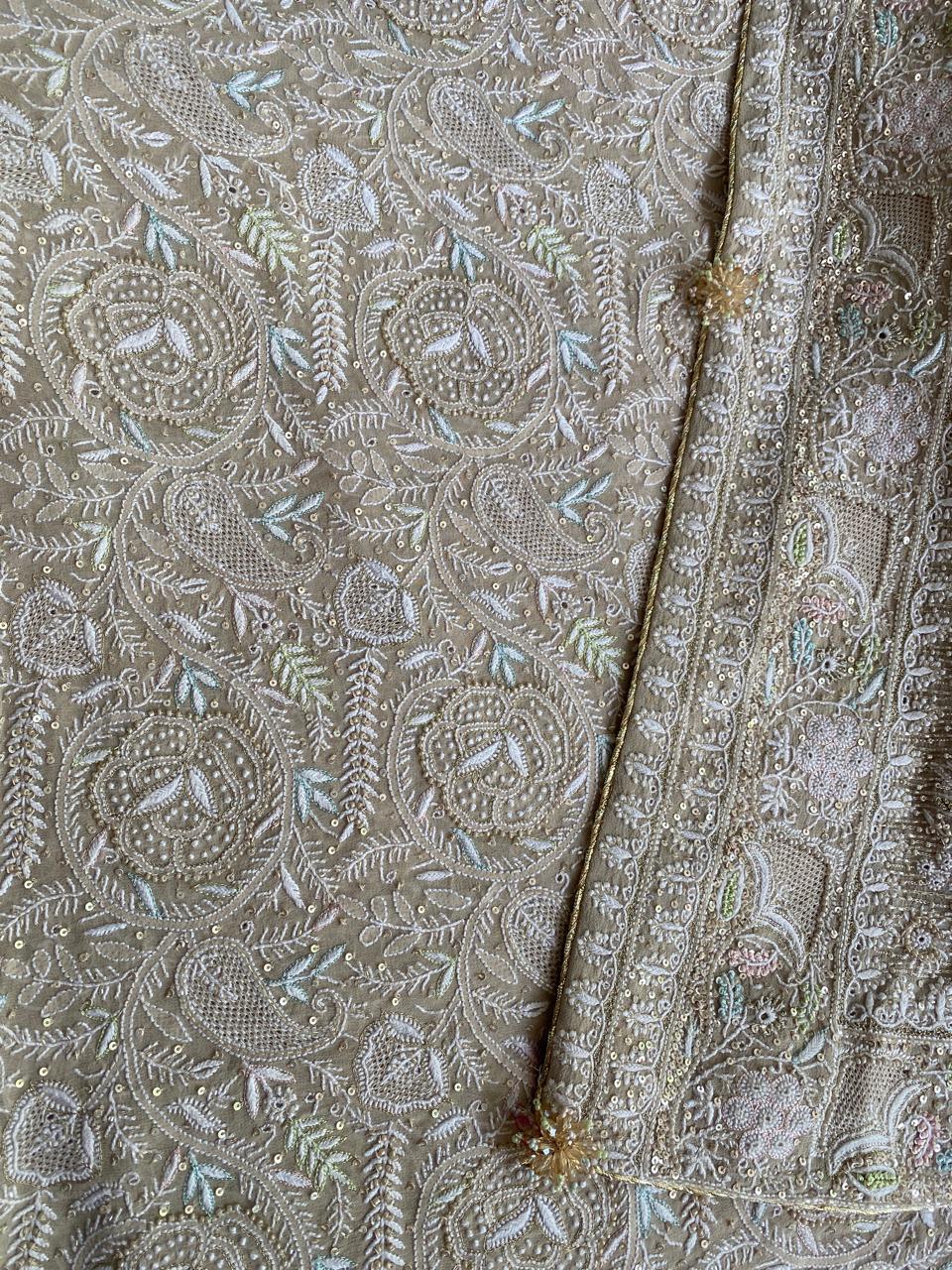 Beige Georgette with Multi Coloured Thread Chikankari Saree