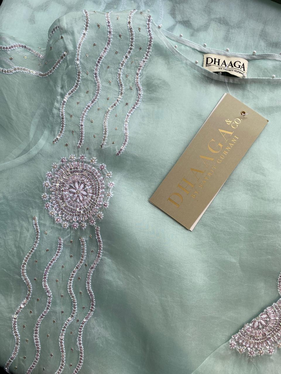Sea Green Chikankari Long Kurta in Organza
