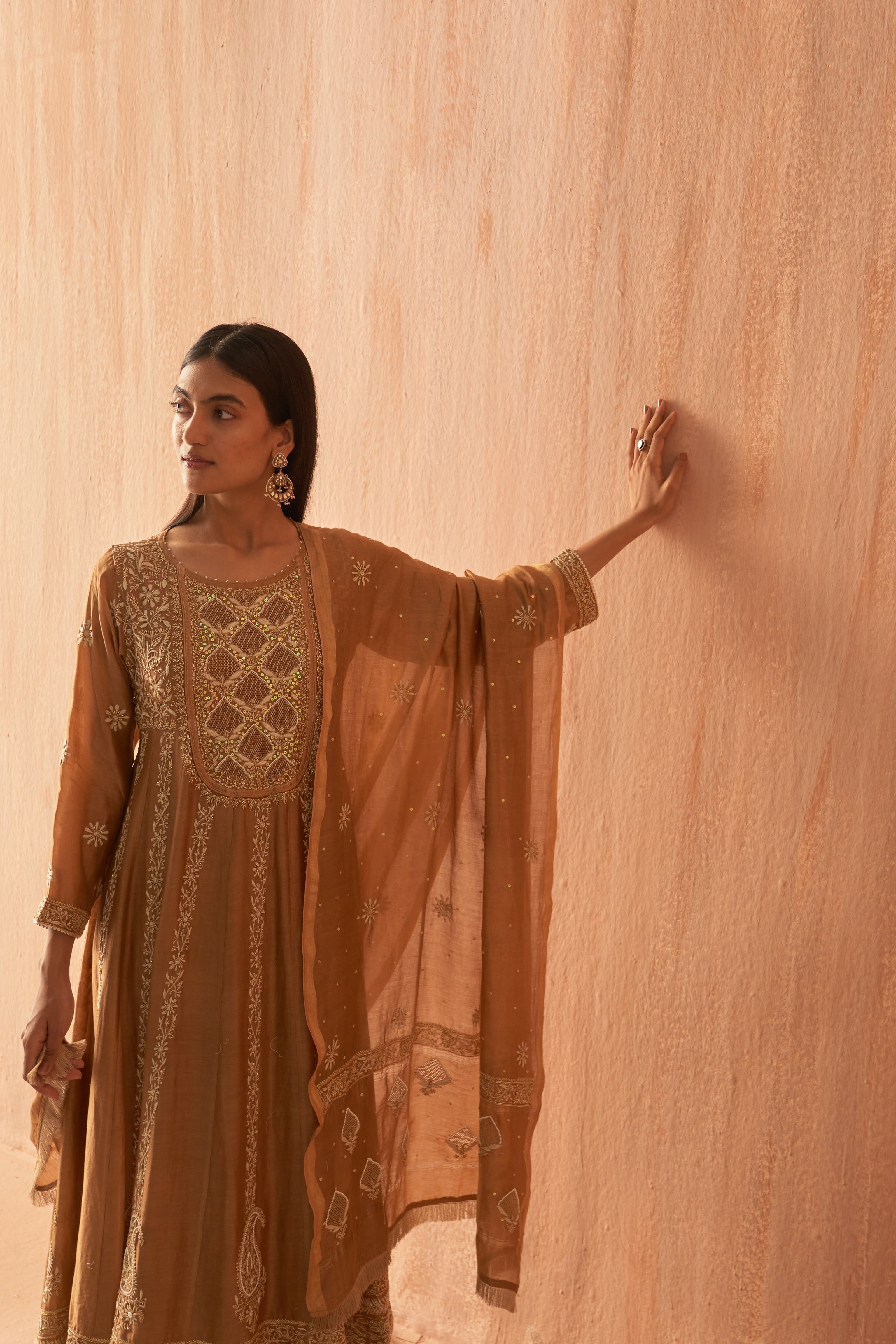 Brown chanderi chikankari with Zari work Anarkali set