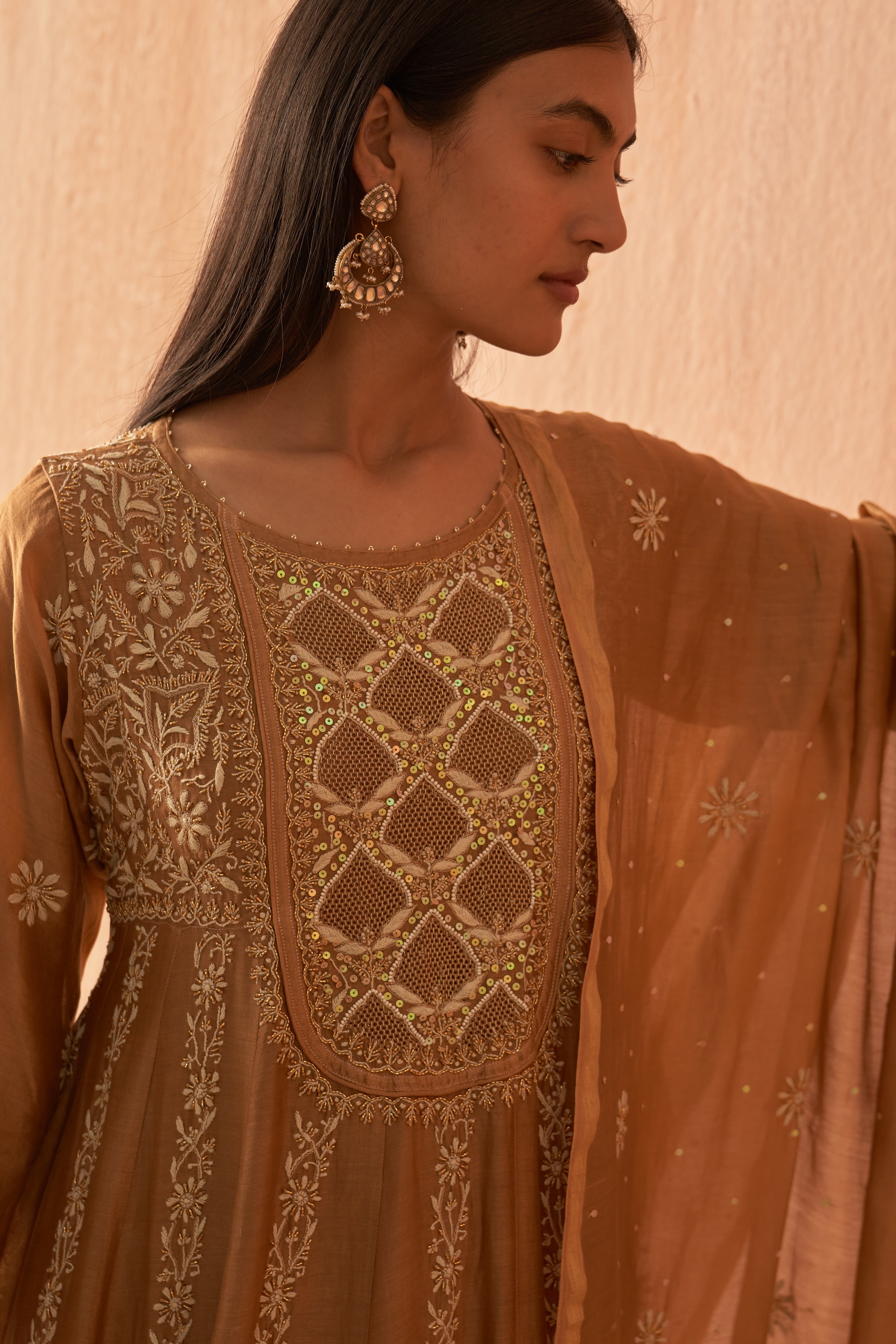 Brown chanderi chikankari with Zari work Anarkali set