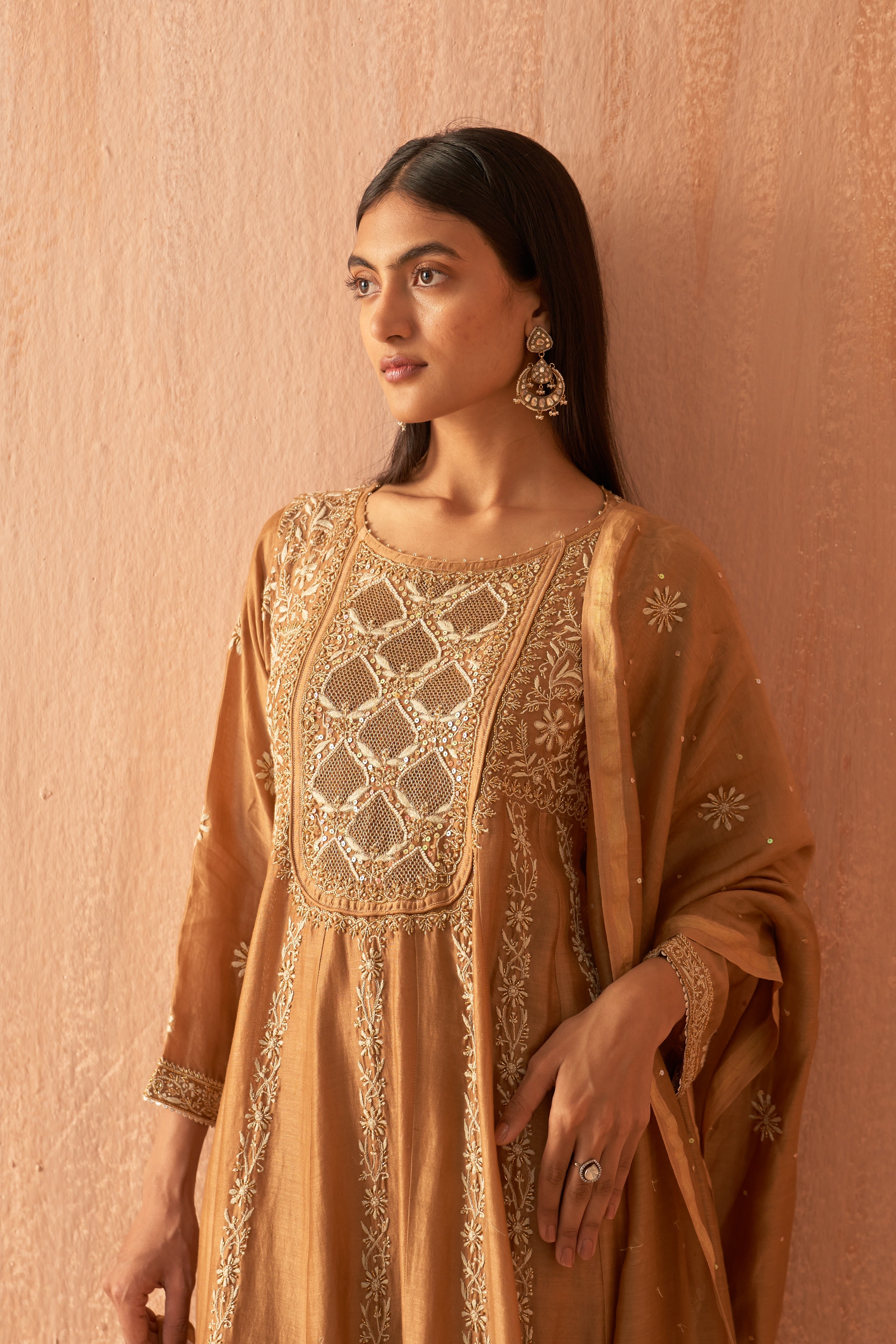 Brown chanderi chikankari with Zari work Anarkali set