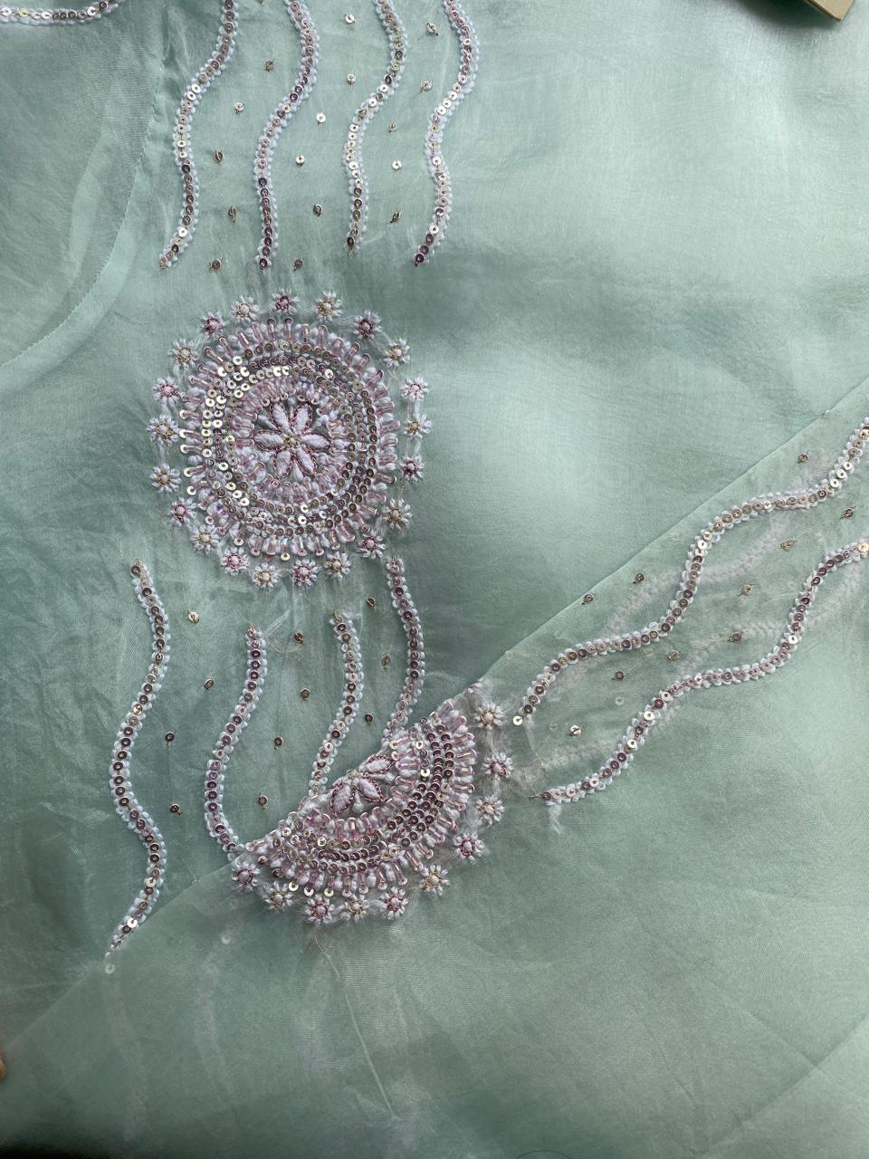 Sea Green Chikankari Long Kurta in Organza