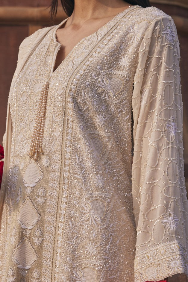Inara Kurta Set - Front Panel Jaali Chikankari Kurta Set